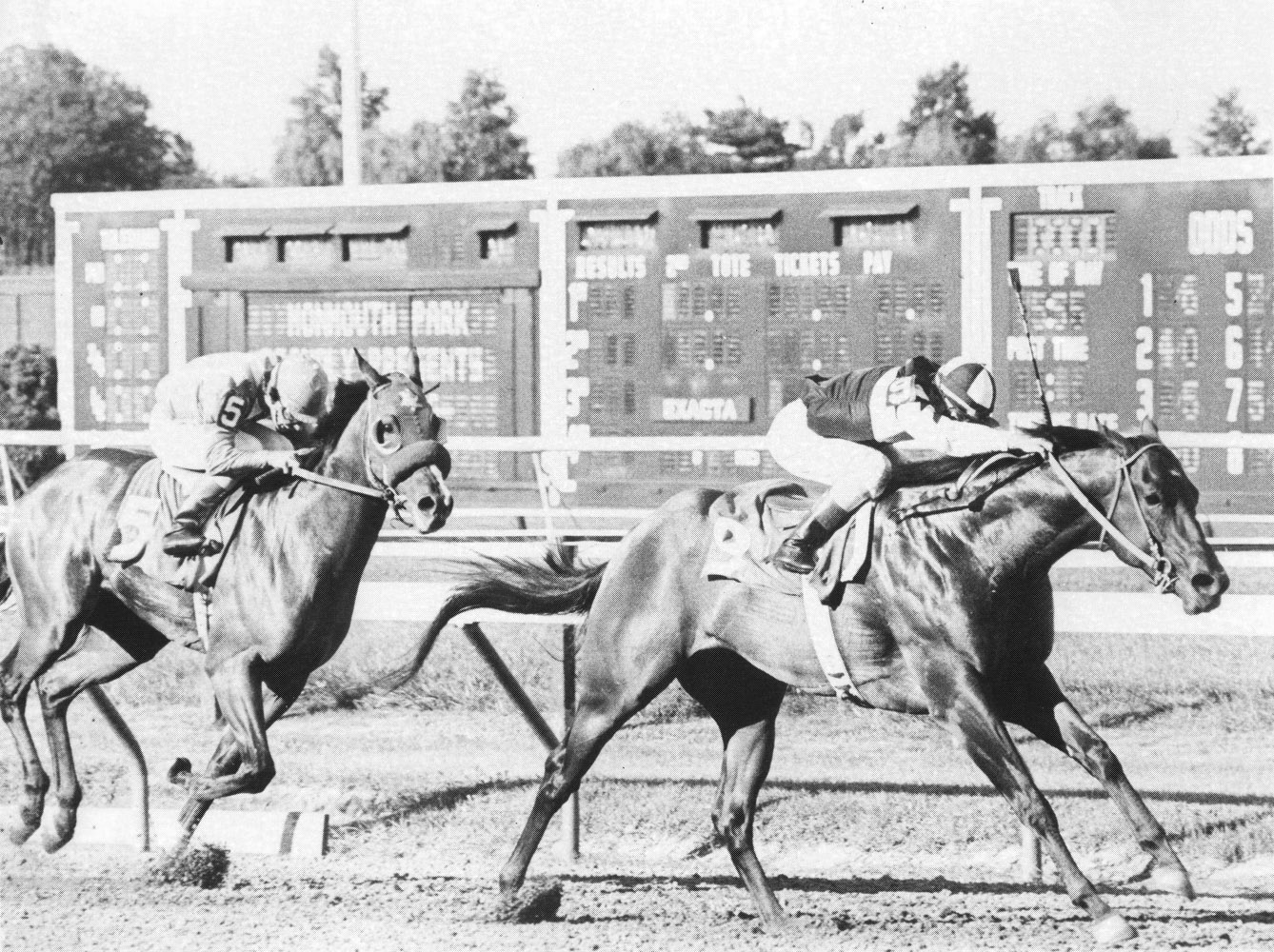 Foolish Pleasure (Jacinto Vasquez up) winning the 1974 Sapling Stakes at Monmouth Park (Museum Collection)