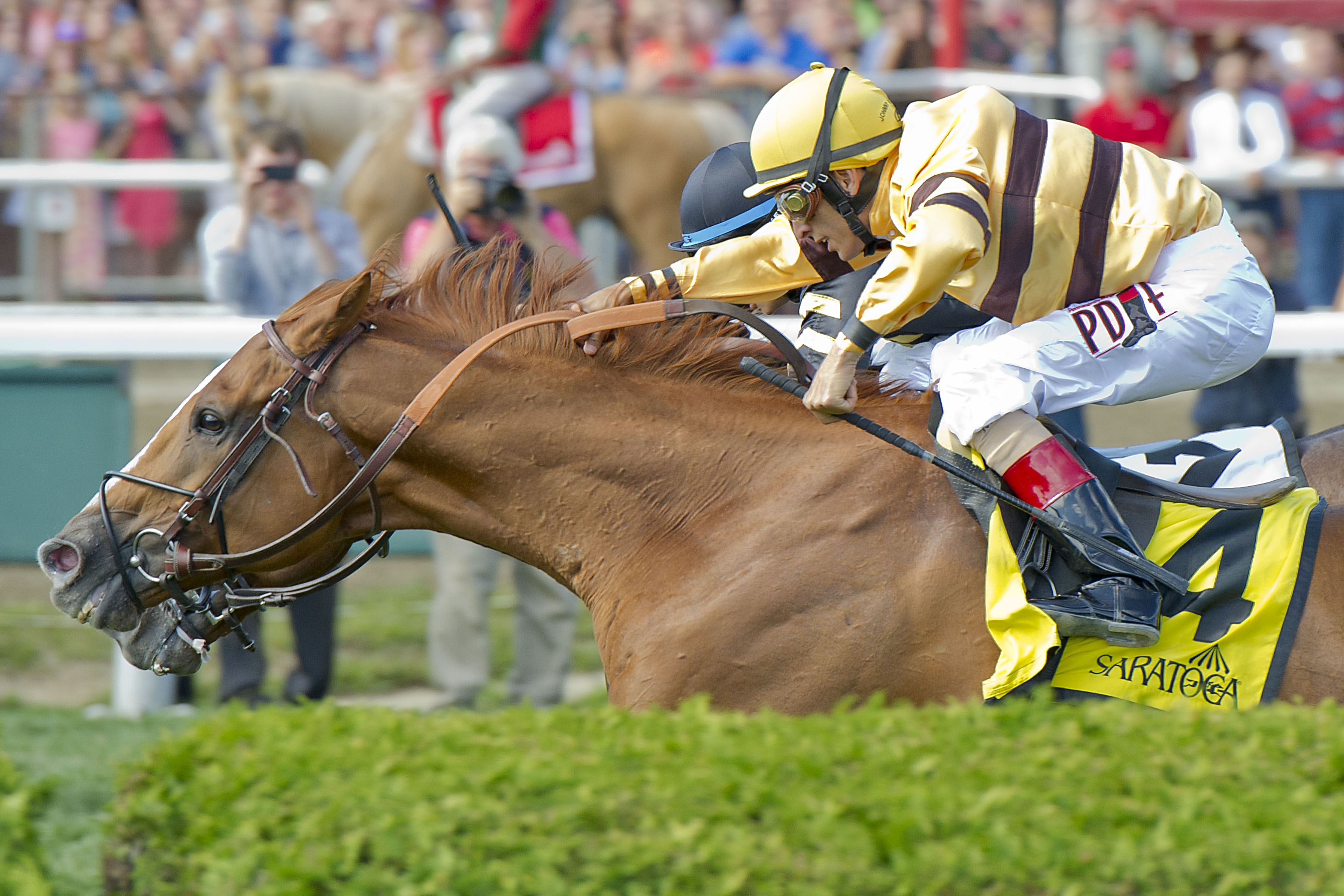 Wise Dan, John Velazquez up (Eric Kalet)