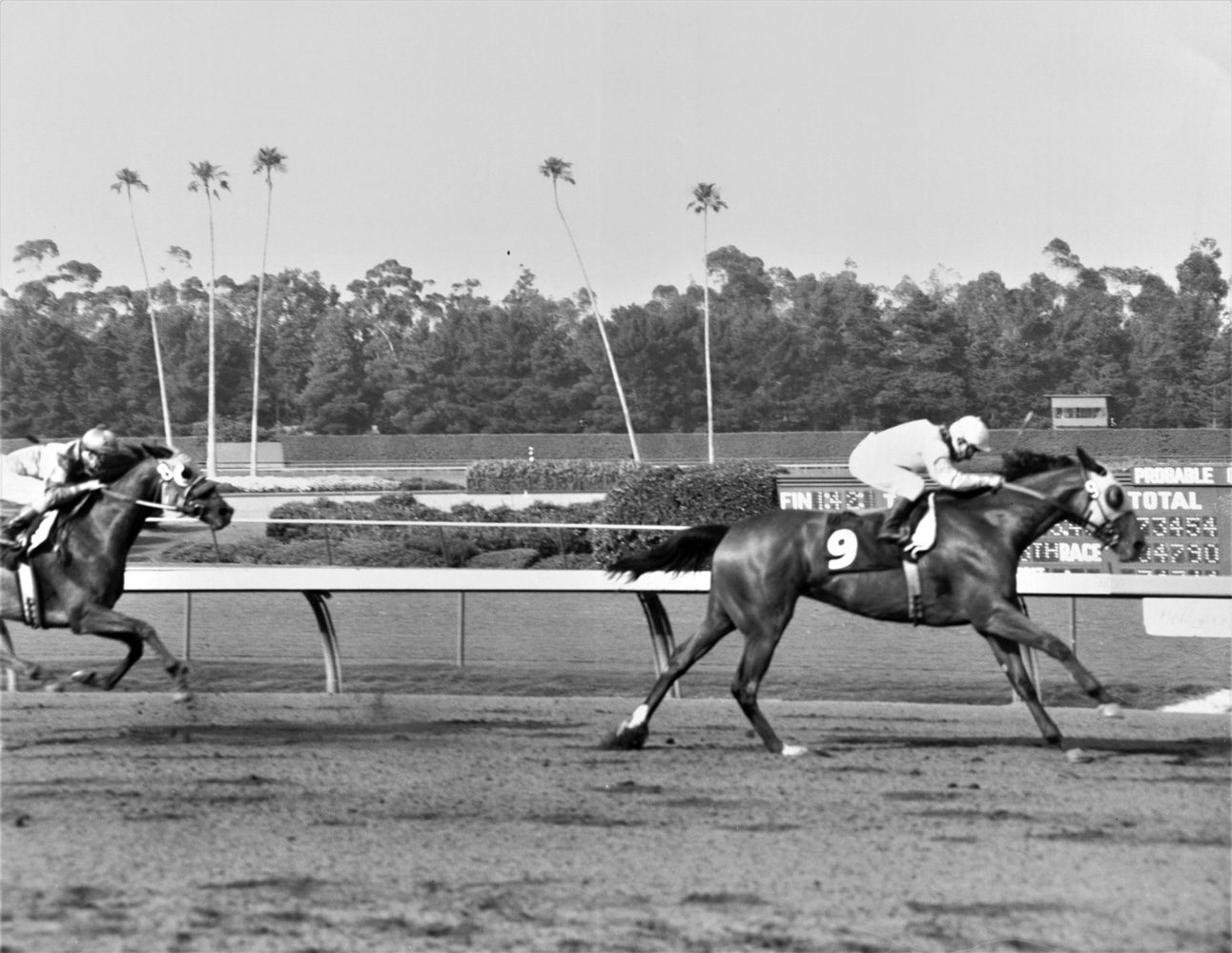 Gamely (Bill Shoemaker up) winning the 1967 Princess Stakes at Hollywood Park (Keeneland Library Thoroughbred Times Collection)