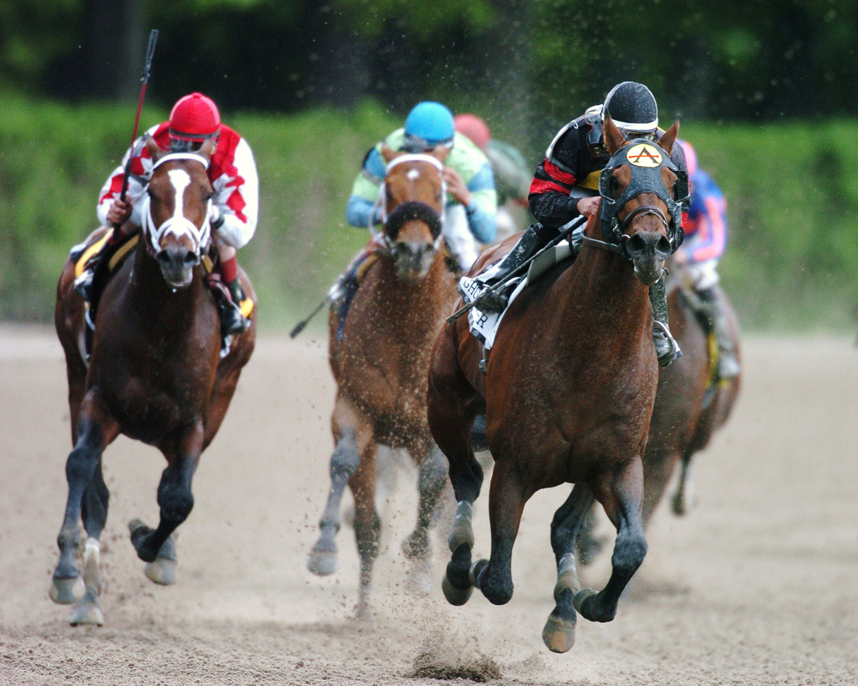 Ghostzapper (Javier Castellano up) turning for home in the 2005 Metropolitan Handicap, his final career race (NYRA)