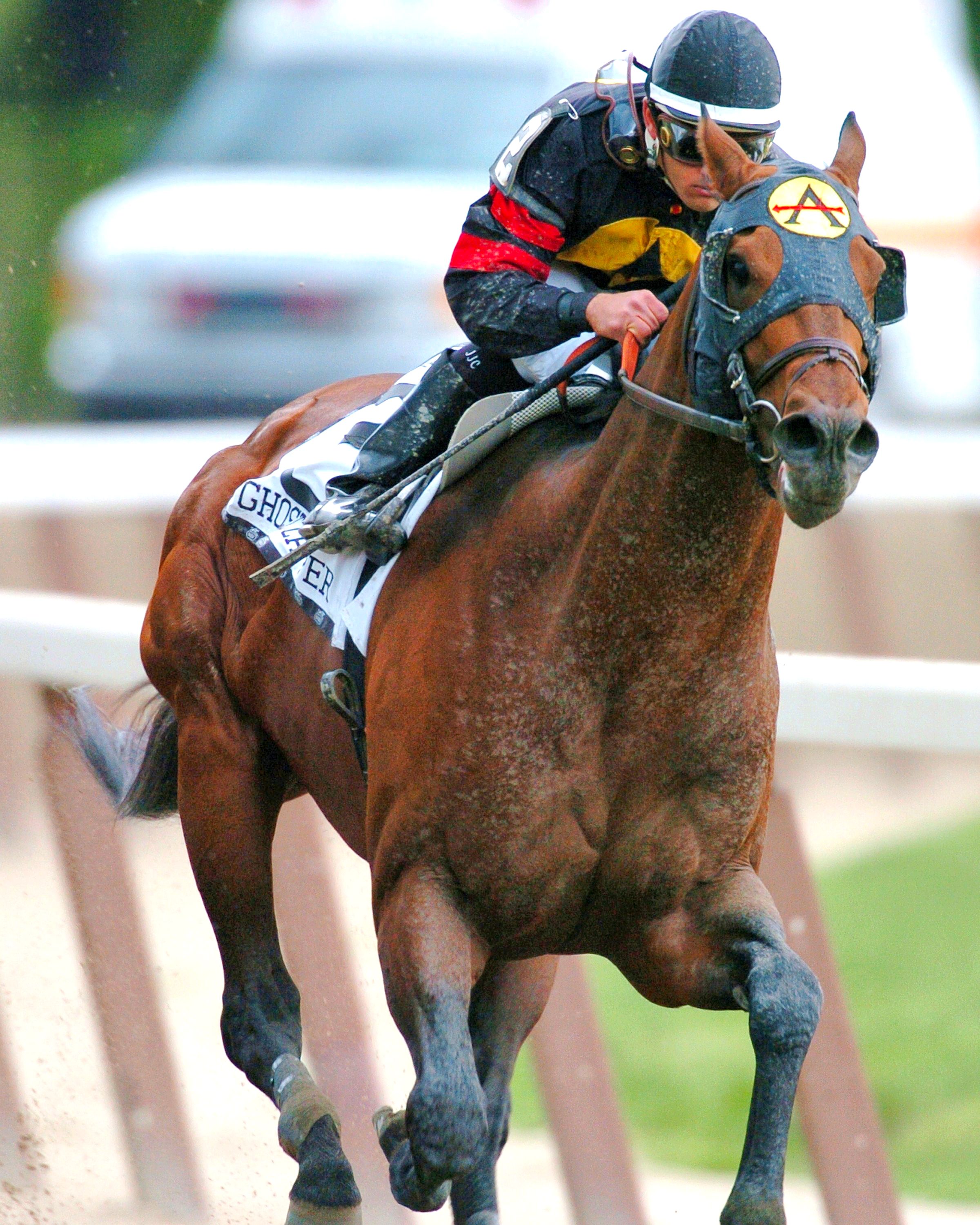 Ghostzapper (Javier Castellano up) charging to the finish line (NYRA)