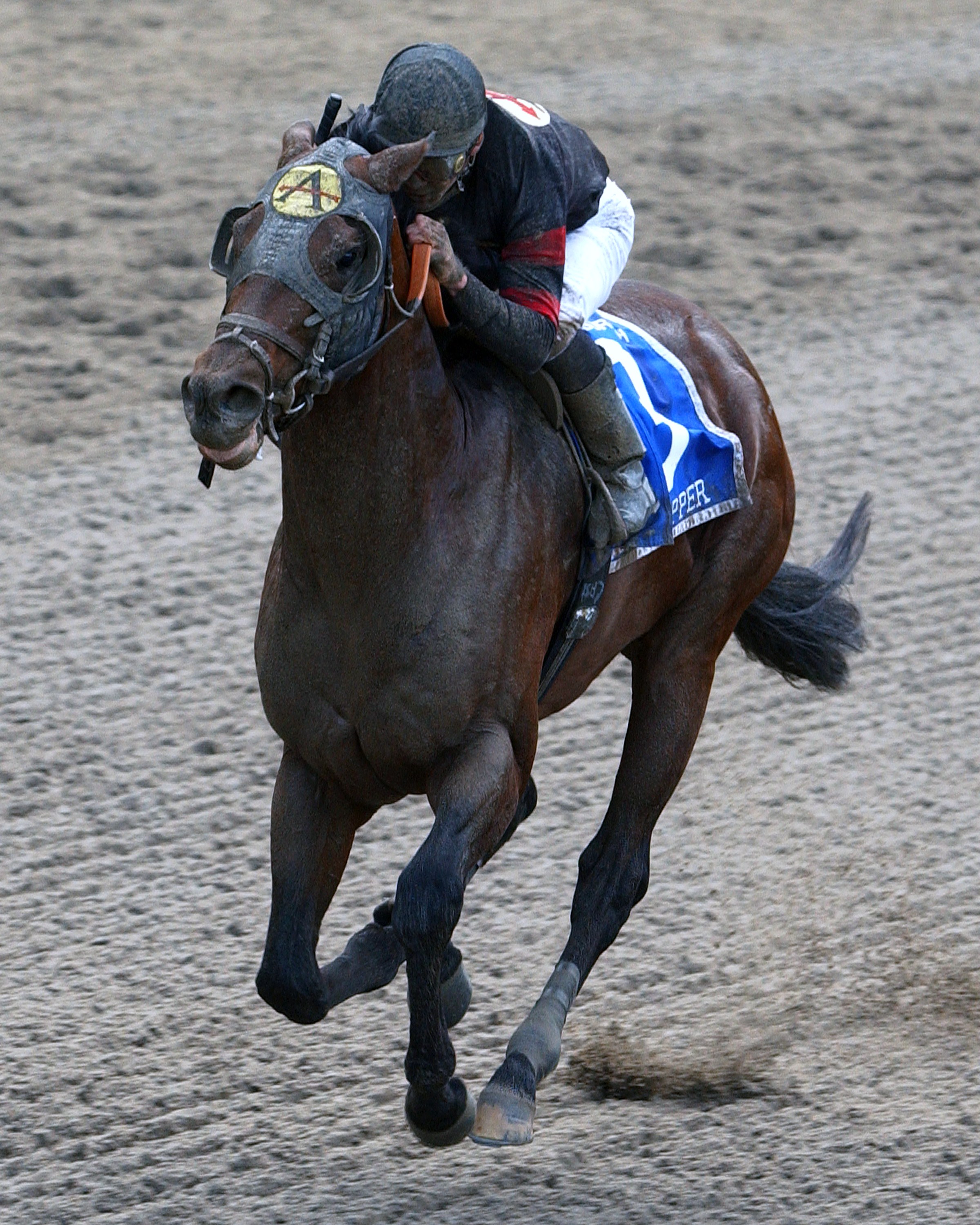 Ghostzapper (Javier Castellano up) winning the 2003 Vosburgh at Belmont Park (NYRA)