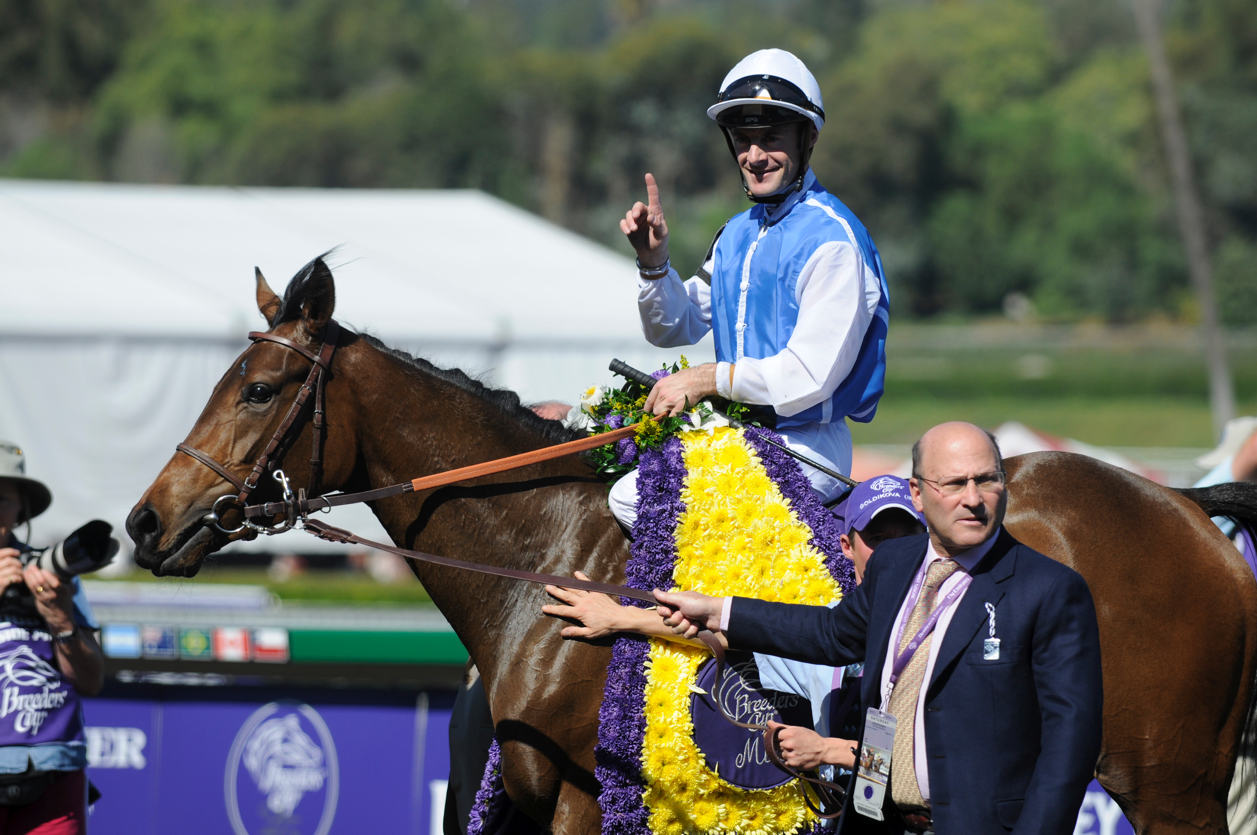 Goldikova (Breeders' Cup Photo/Eclipse Sportswire)