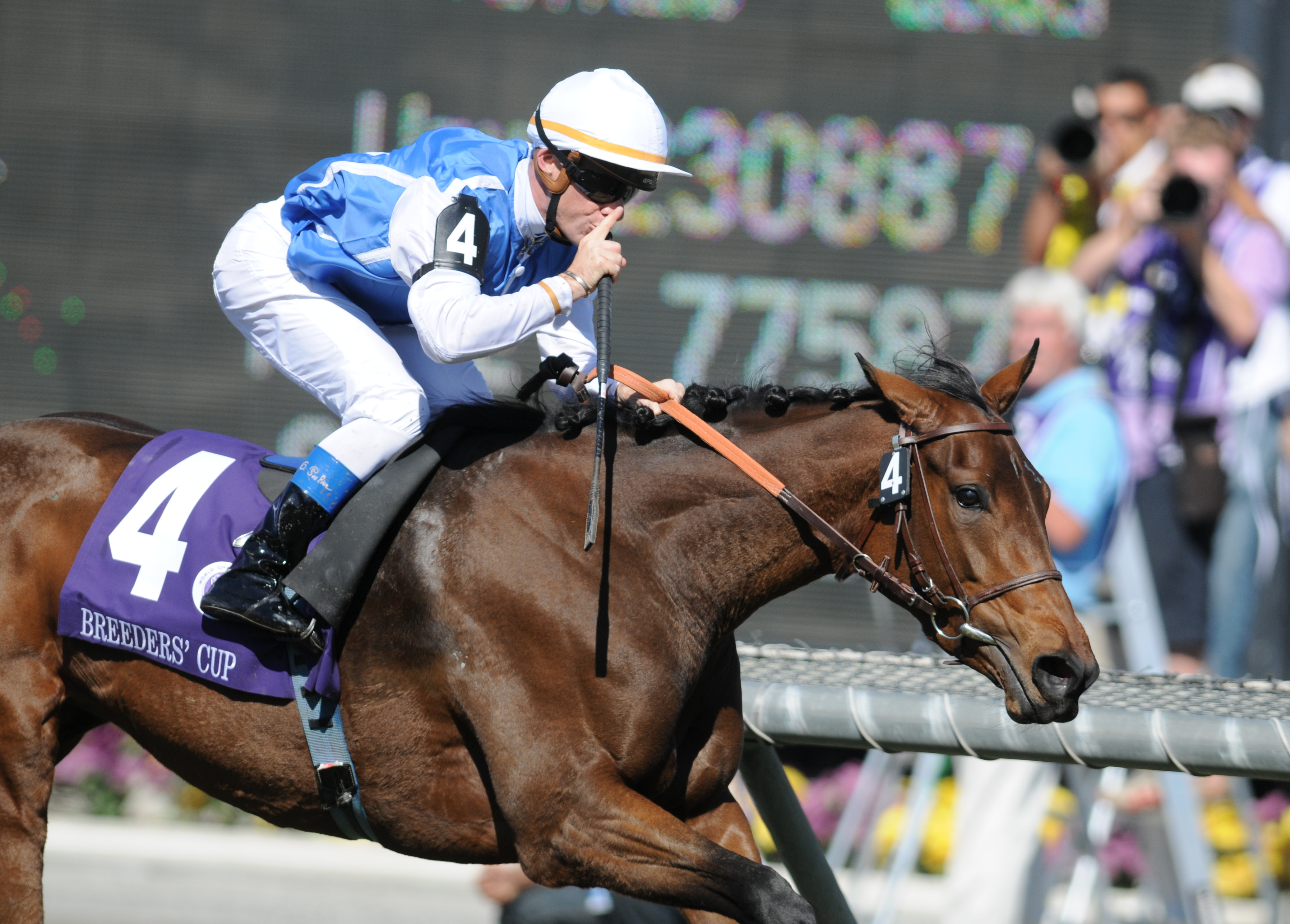 Goldikova (Breeders' Cup Photo/Eclipse Sportswire)