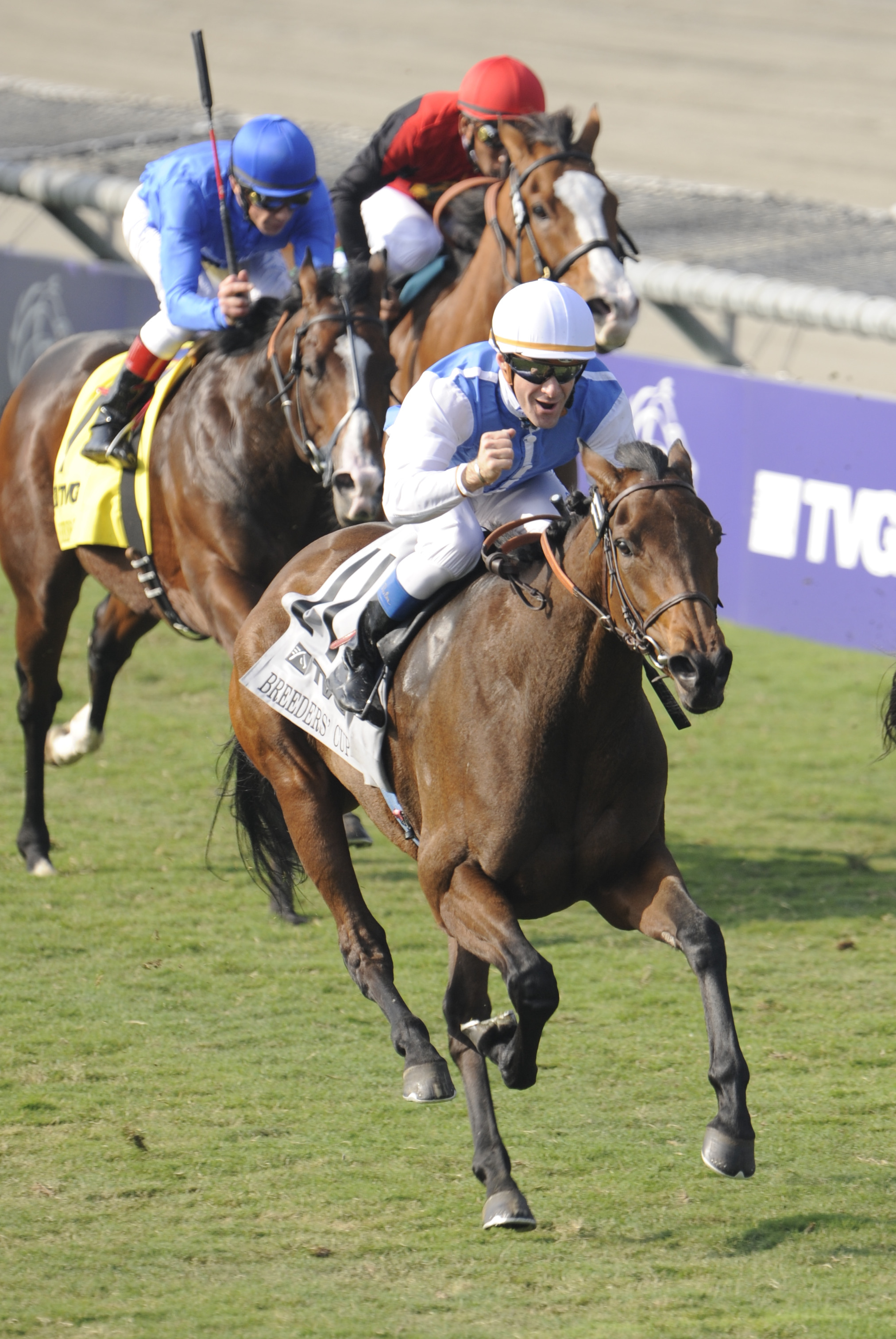 Goldikova winning the 2009 Breeders' Cup Mile at Santa Anita (Breeders' Cup Photo)