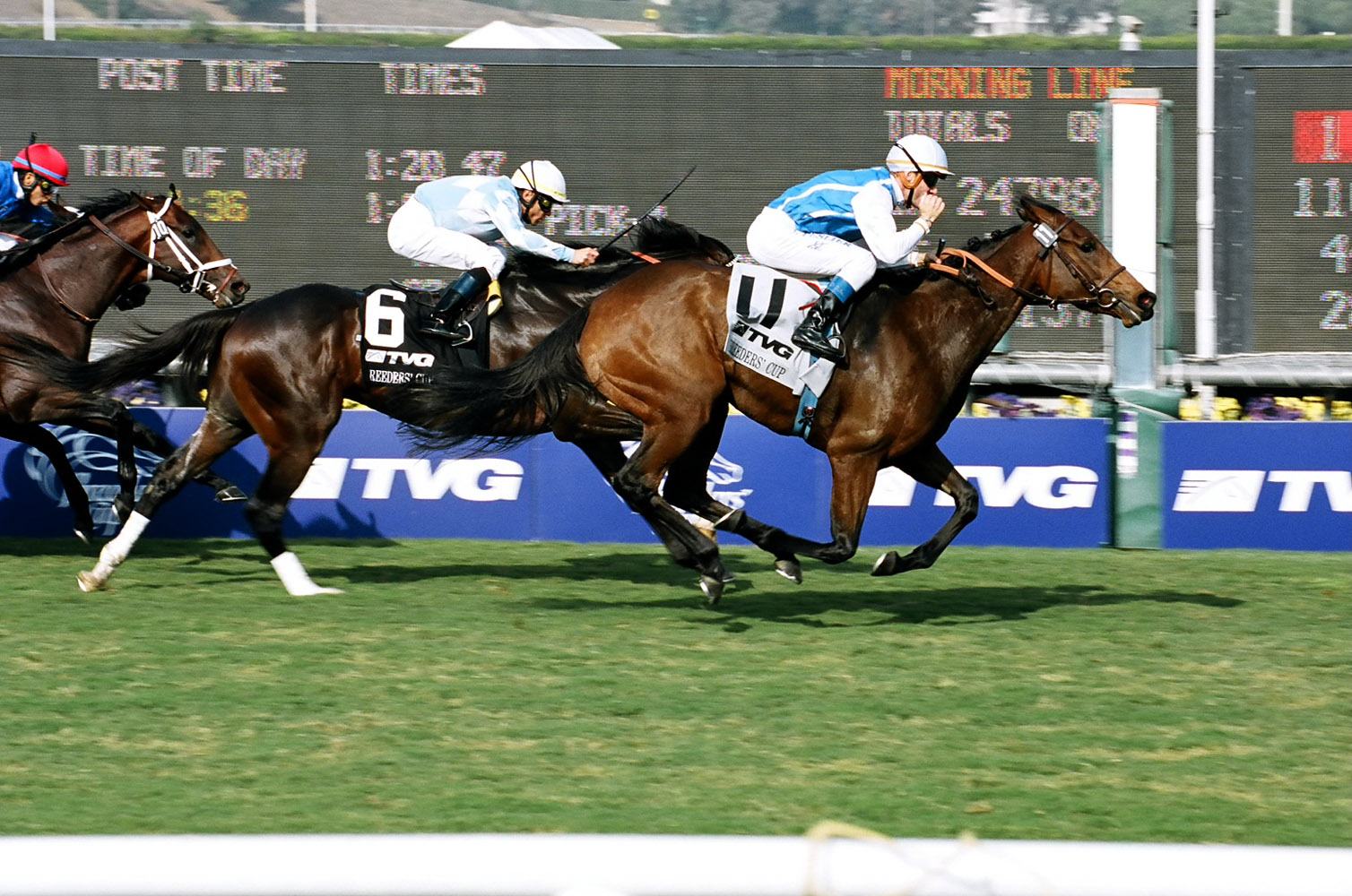 Goldikova (Olivier Peslier up) winning her second Breeders' Cup Mile at Oak Tree at Santa Anita in November 2009 (Bill Mochon/Museum Collection)