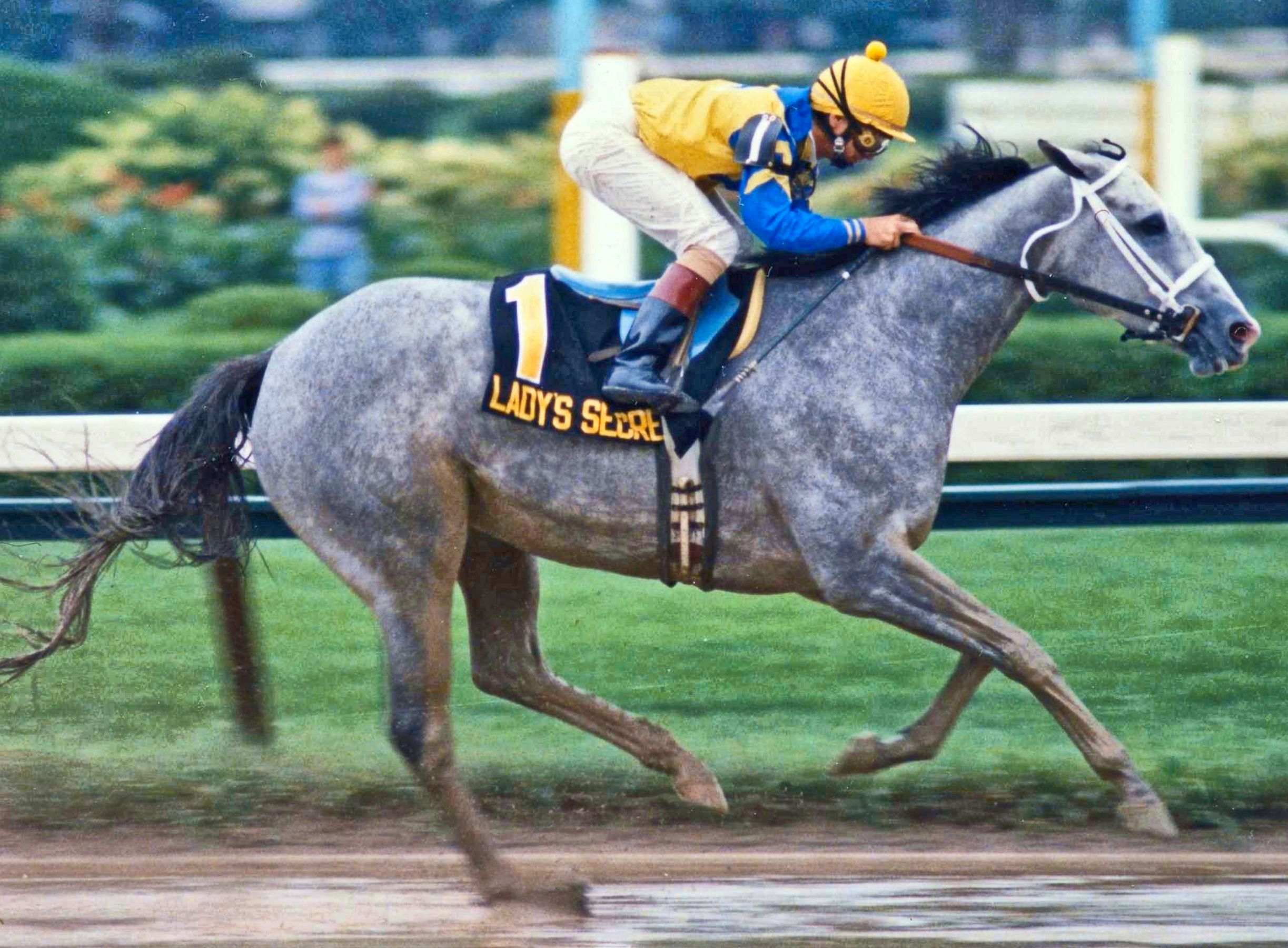 Lady's Secret (Pat Day up) racing to victory in the 1986 Whitney (Barbara D. Livingston/Museum Collection)