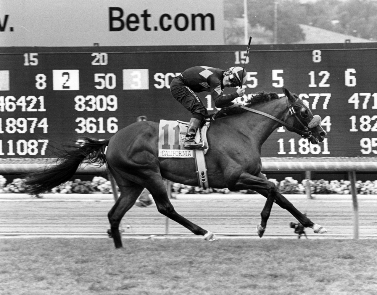 Lava Man (Corey Nakatani up) winning the 2007 Sunshine Millions Turf Stakes at Santa Anita (Bill Mochon/Museum Collection)