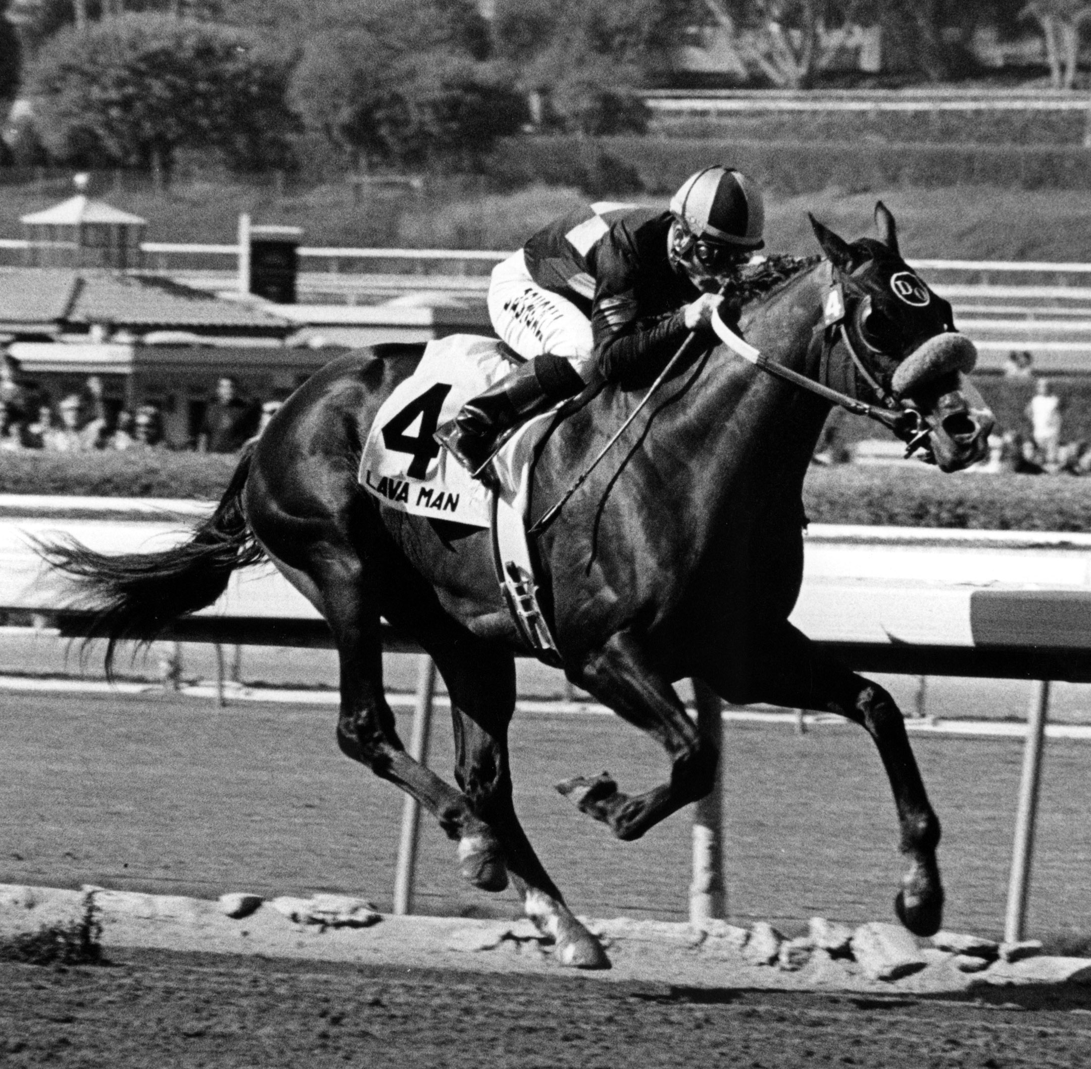 Lava Man (Corey Nakatani up) winning the 2006 Goodwood Breeders' Cup Handicap at Oak Tree at Santa Anita (Bill Mochon/Museum Collection)