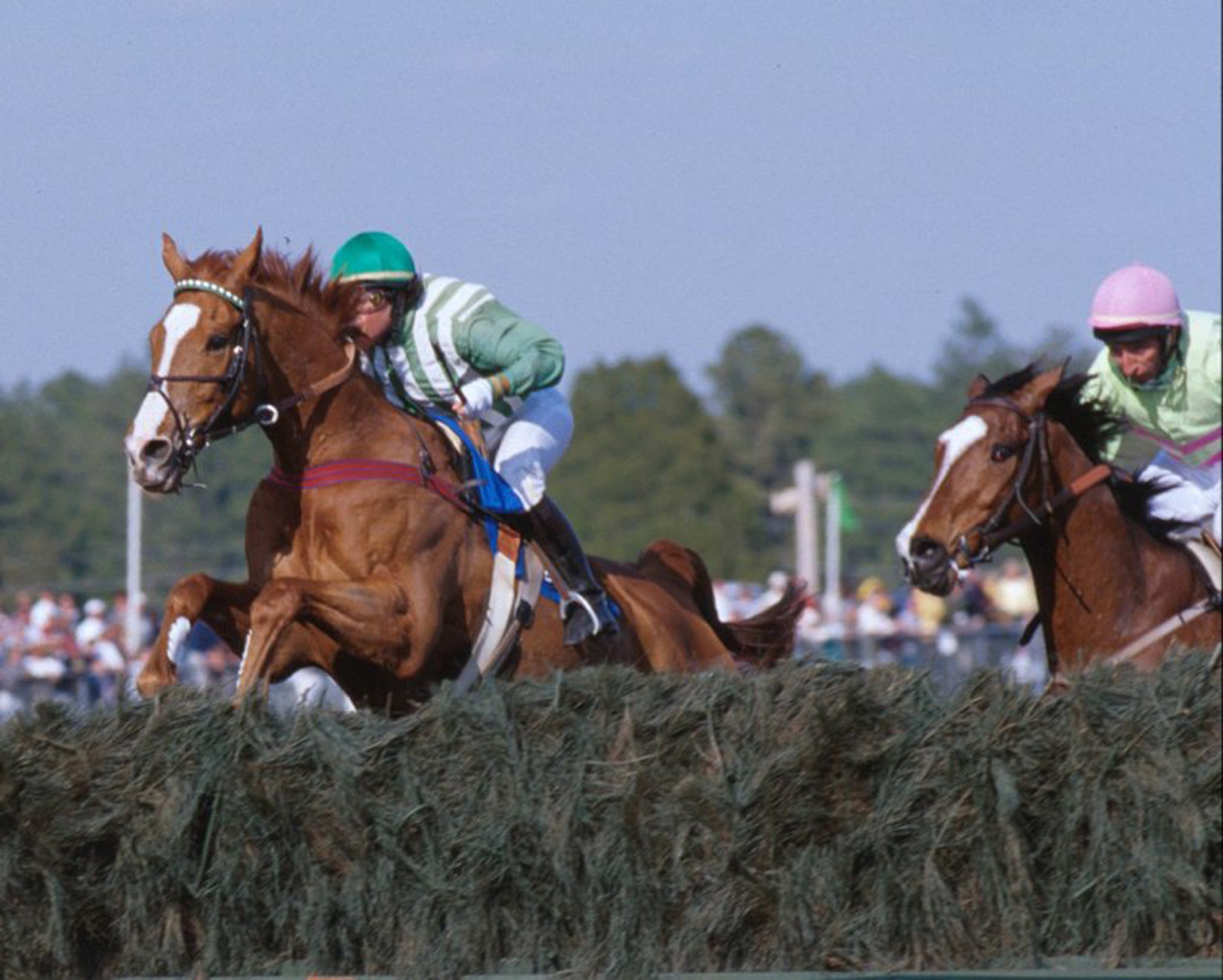 Lonesome Glory, Blythe Miller up, clearing the last jump before winning the 1999 Carolina Cup (Courtesy of Bruce Miller)