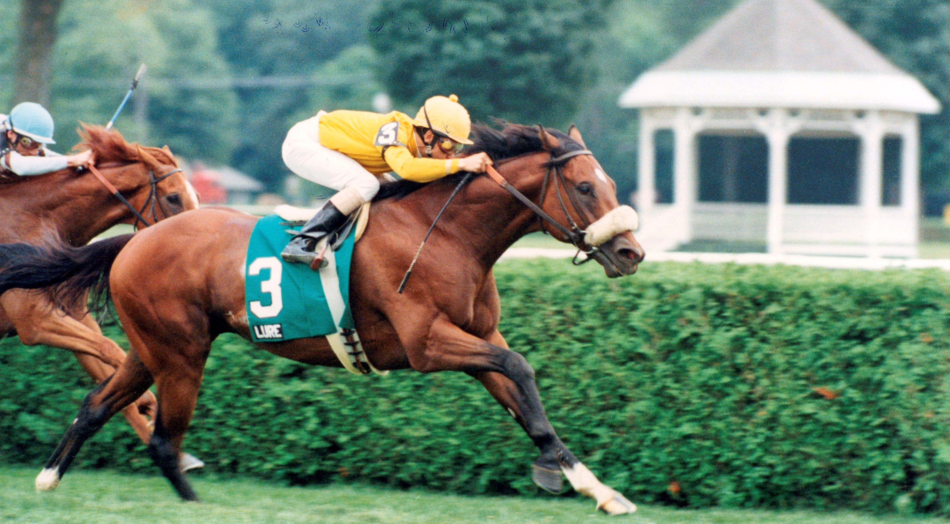 Lure, Mike Smith up (Joe DiOrio)