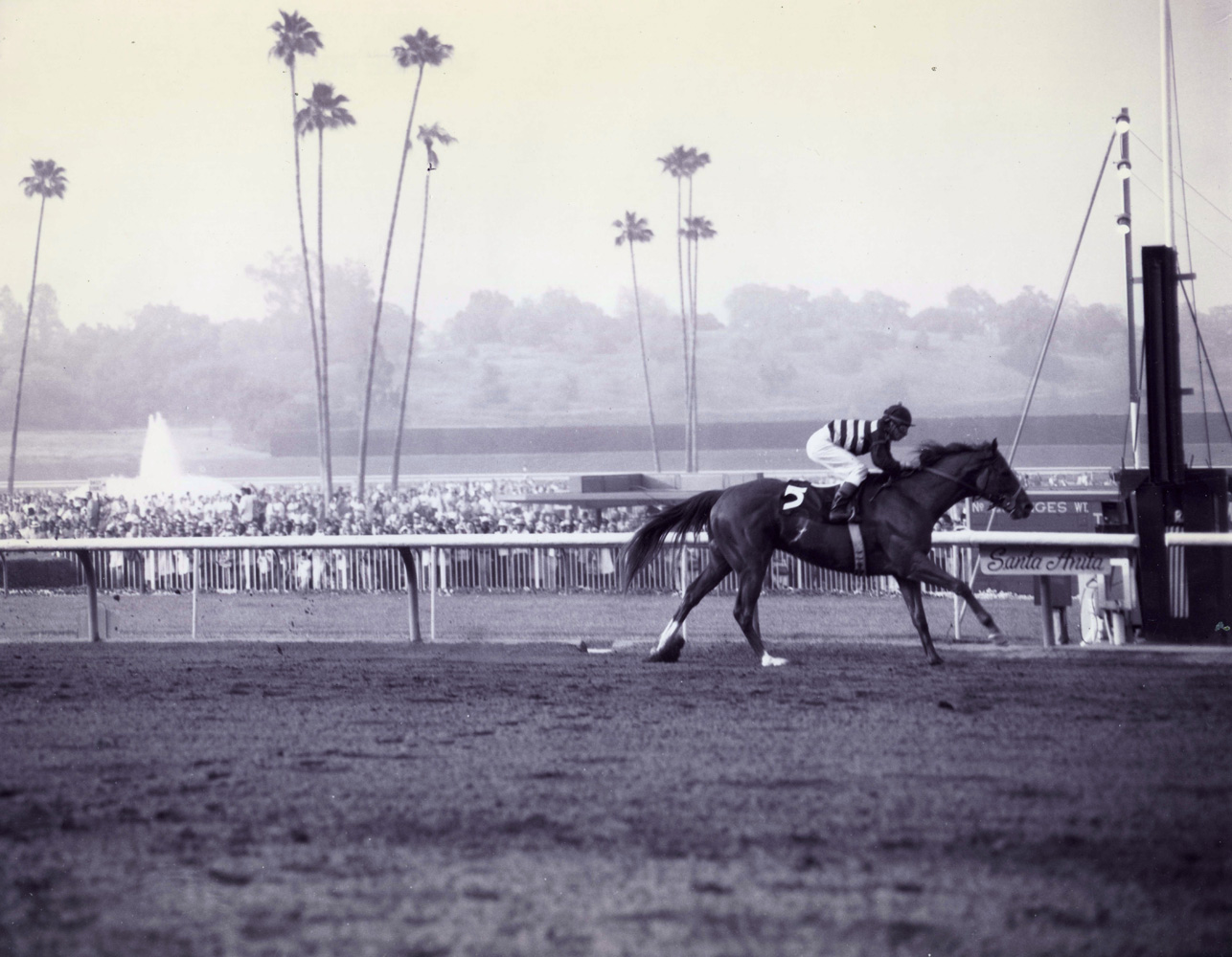 Majestic Prince (Bill Hartack up) winning the 1969 Santa Anita Derby at Santa Anita Park (Santa Anita Photo/Museum Collection)