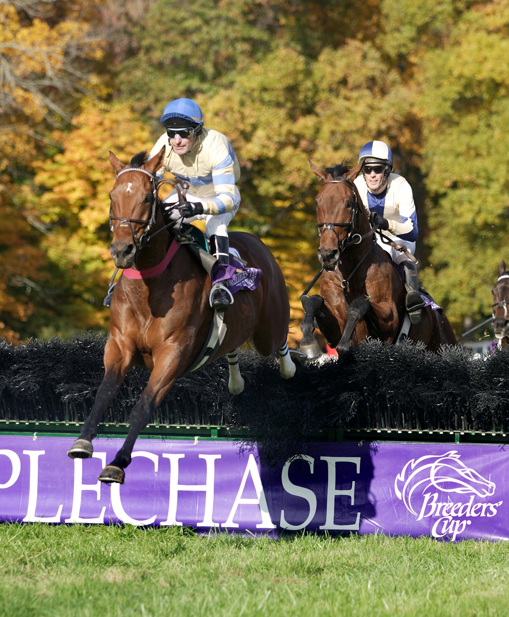 McDynamo leads Sur La Tete at the 2004 Grand National (Tod Marks)