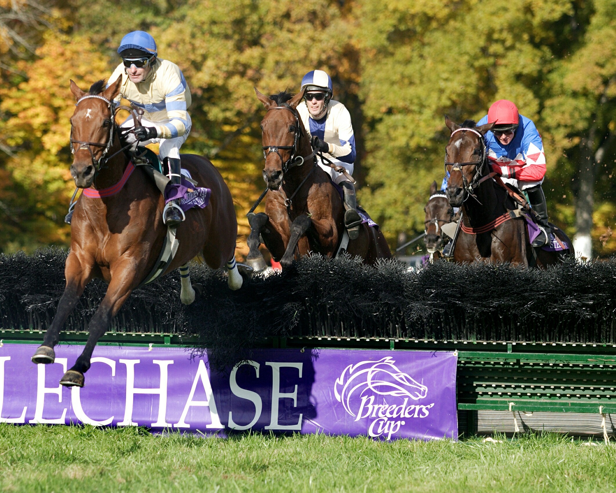 McDynamo (Craig Thornton up) leading Sur La Tete over a jump in the 2004 Breeders' Cup Grand National Steeplechase at Far Hills (Tod Marks)