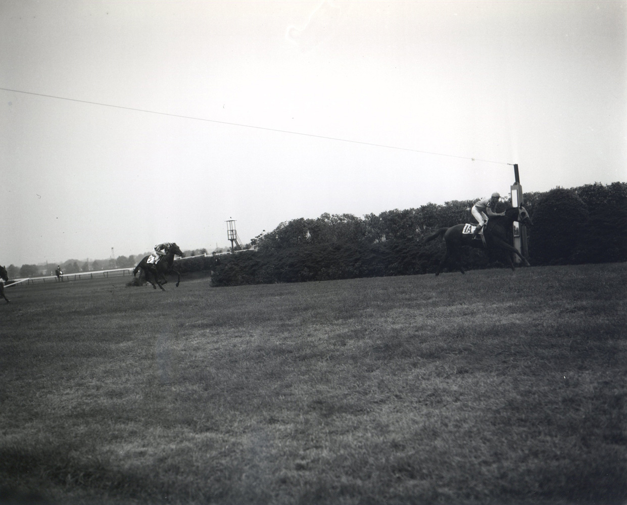 Neji (Alfred P. Smithwick up) racing to victory in the 1957 Grand National at Belmont Park (Keeneland Library Morgan Collection/Museum Collection)