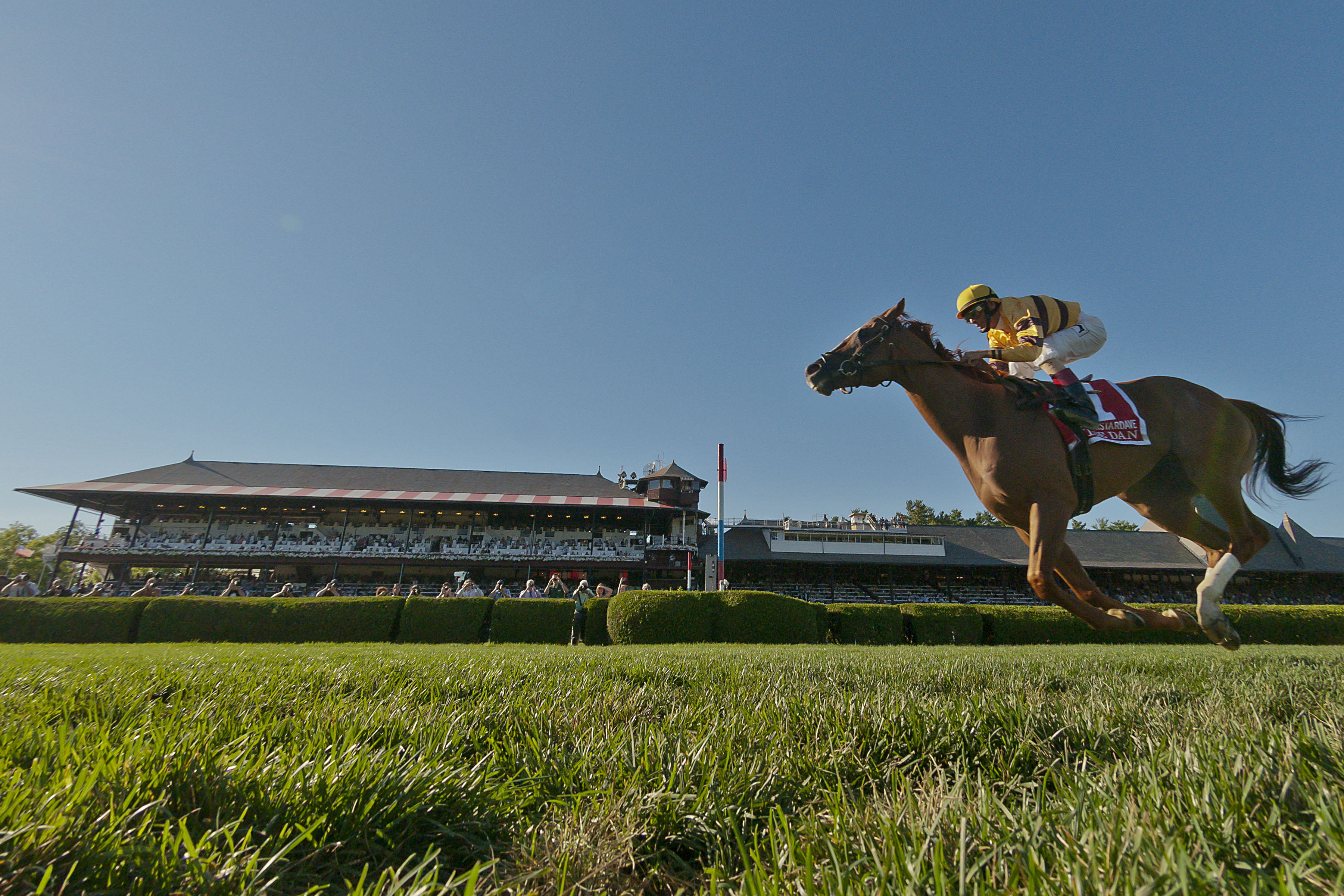 Wise Dan, John Velazquez up (Eric Kalet)