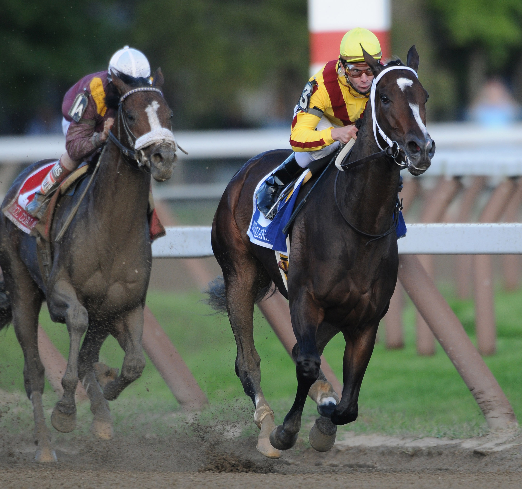 Rachel Alexandra (Calvin Borel up) winning the 2009 Woodward at Saratoga (NYRA)