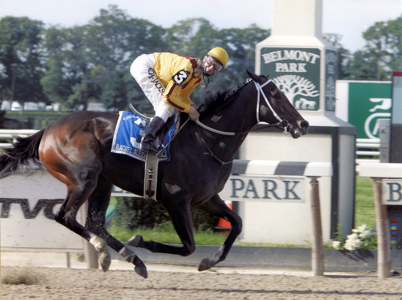 Rachel Alexandra (Calvin Borel up) winning the 2009 Mother Goose at Belmont Park (Gerry Mora/Museum Collection)