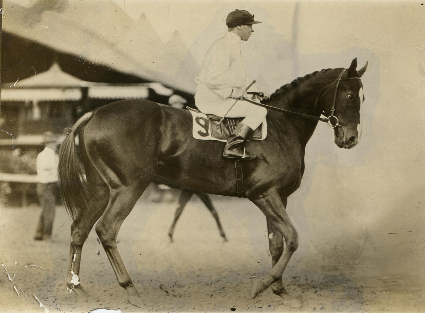 Regret at Saratoga with Joe Notter up (C. C. Cook/Museum Collection)