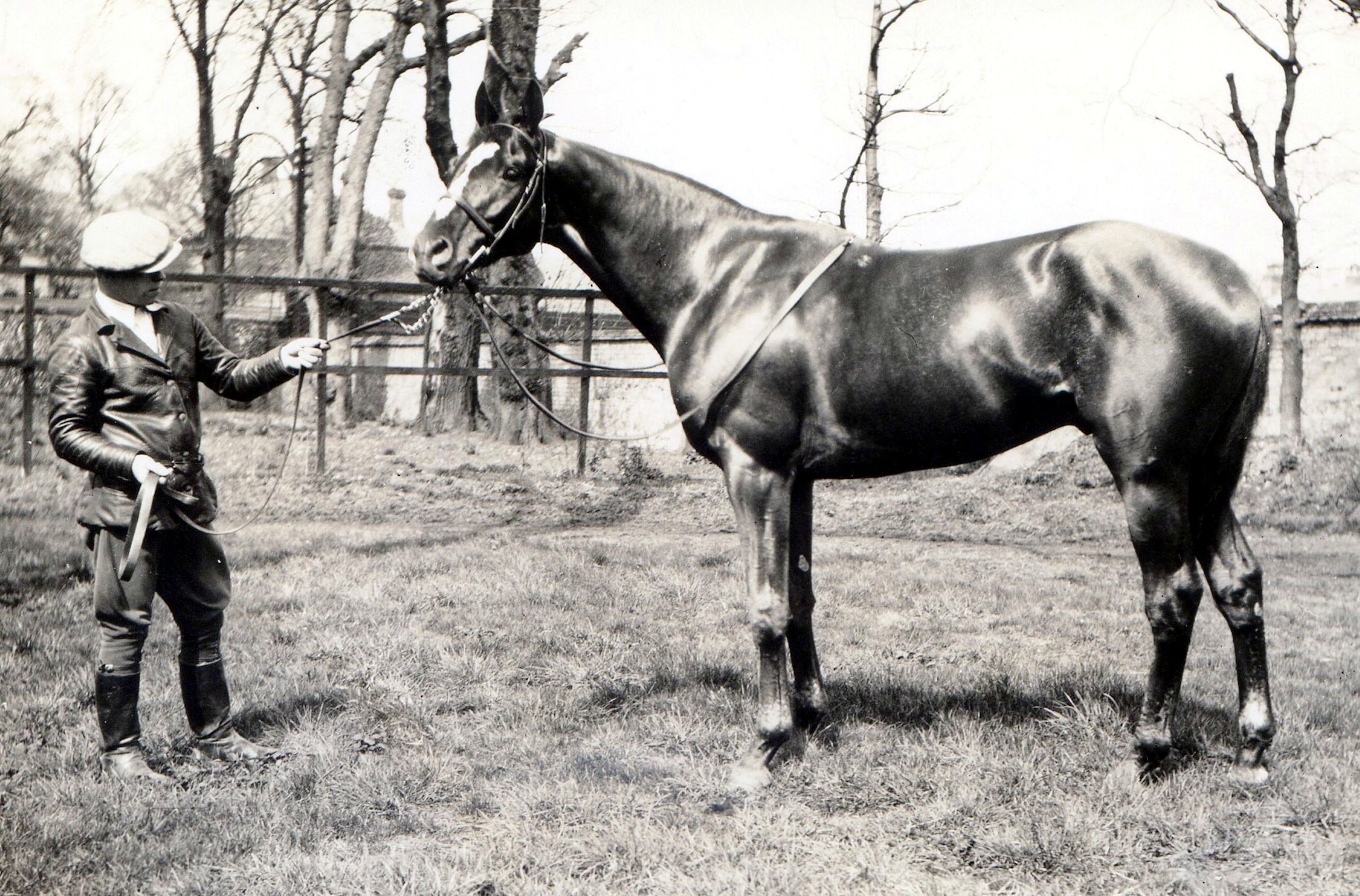 Reigh Count in Newmarket, England, 1929 (L. S. Sutcliffe/Museum Collection)