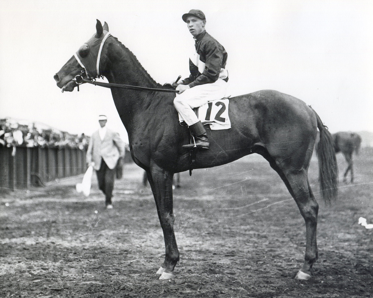 Roamer with M. Buxton up at Aqueduct (Museum Collection)