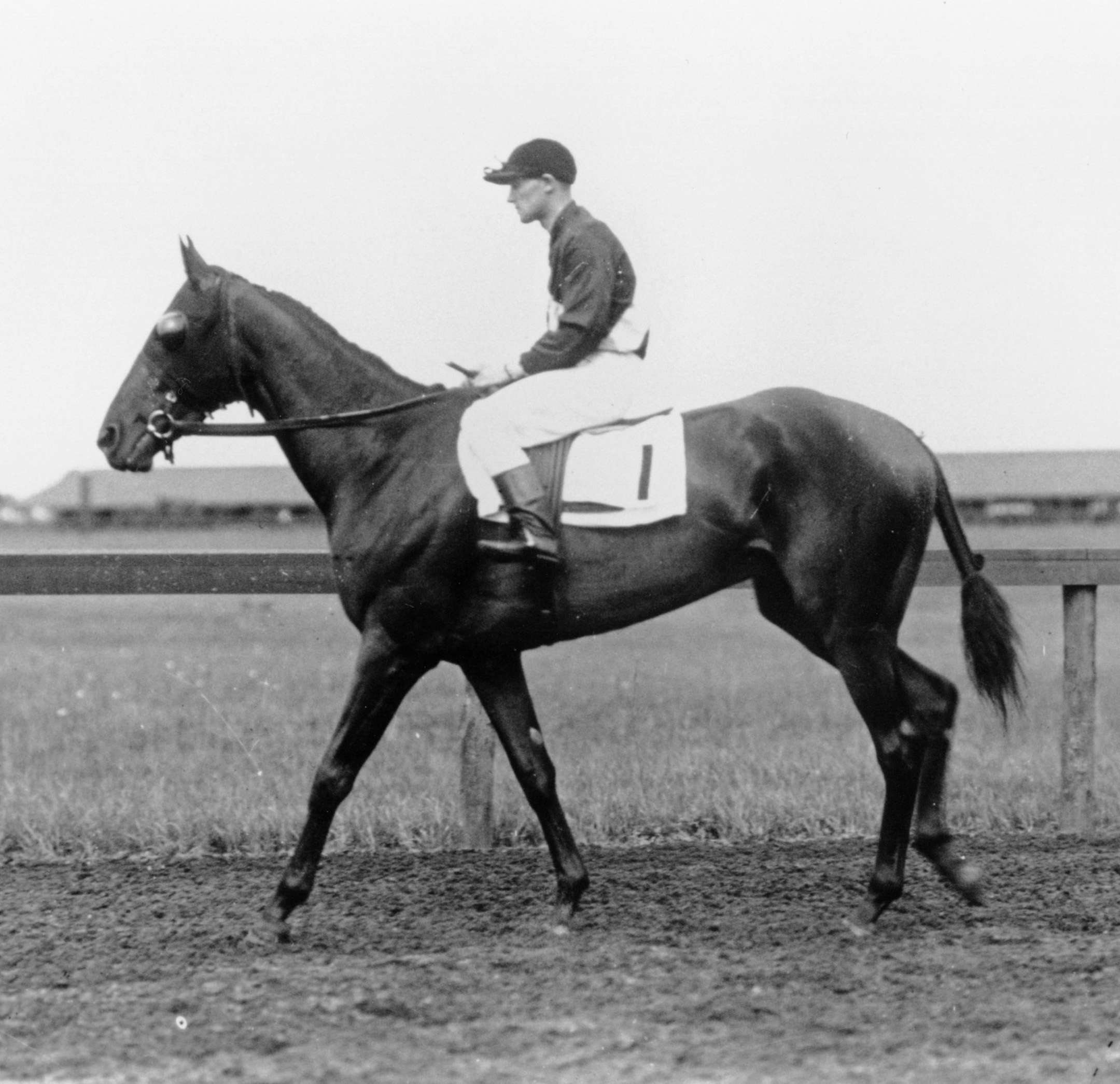 Roamer with James Butwell up (Keeneland Library Cook Collection/Museum Collection)