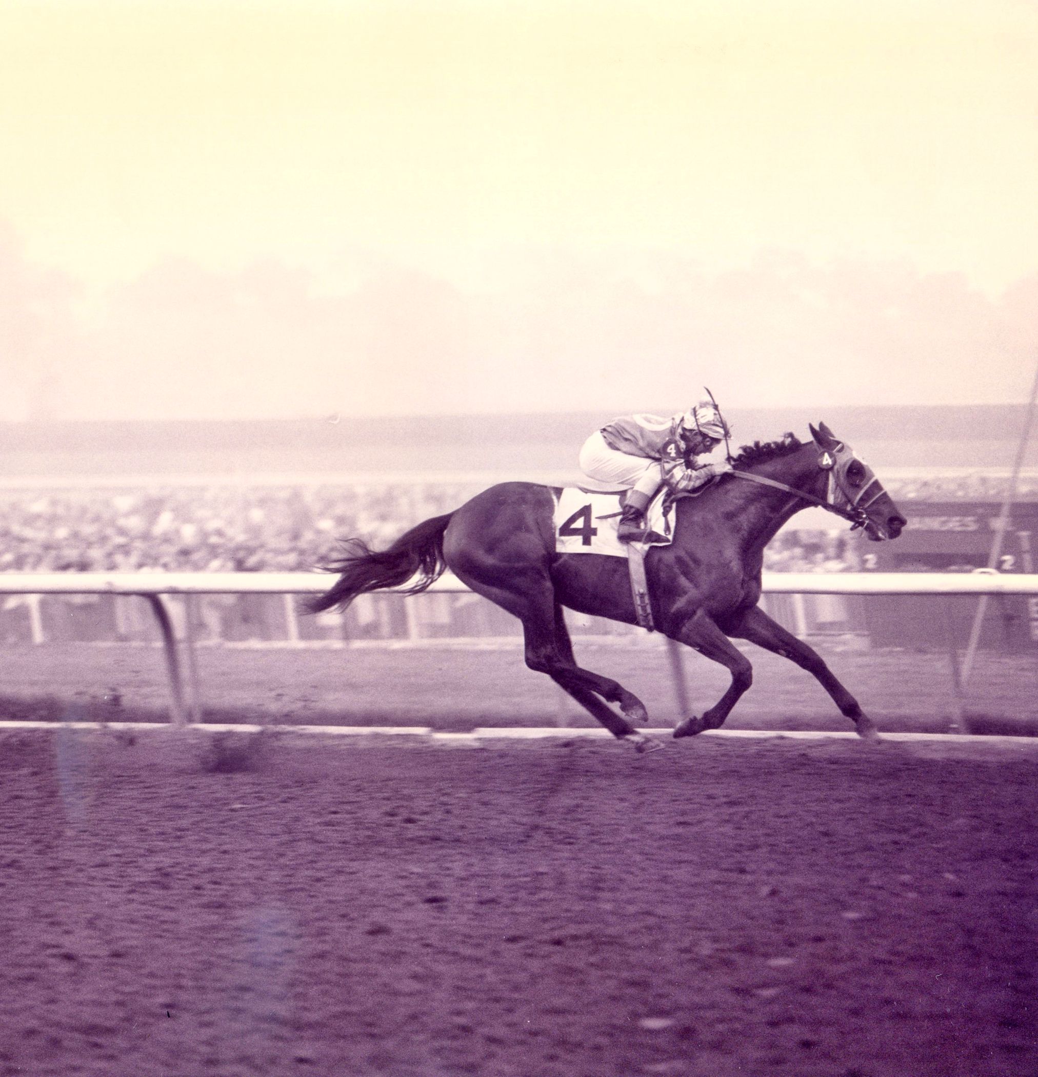 Round Table (Bill Shoemaker up) winning the 1958 San Antonio Handicap at Santa Anita Park (Santa Anita Photo/Museum Collection)