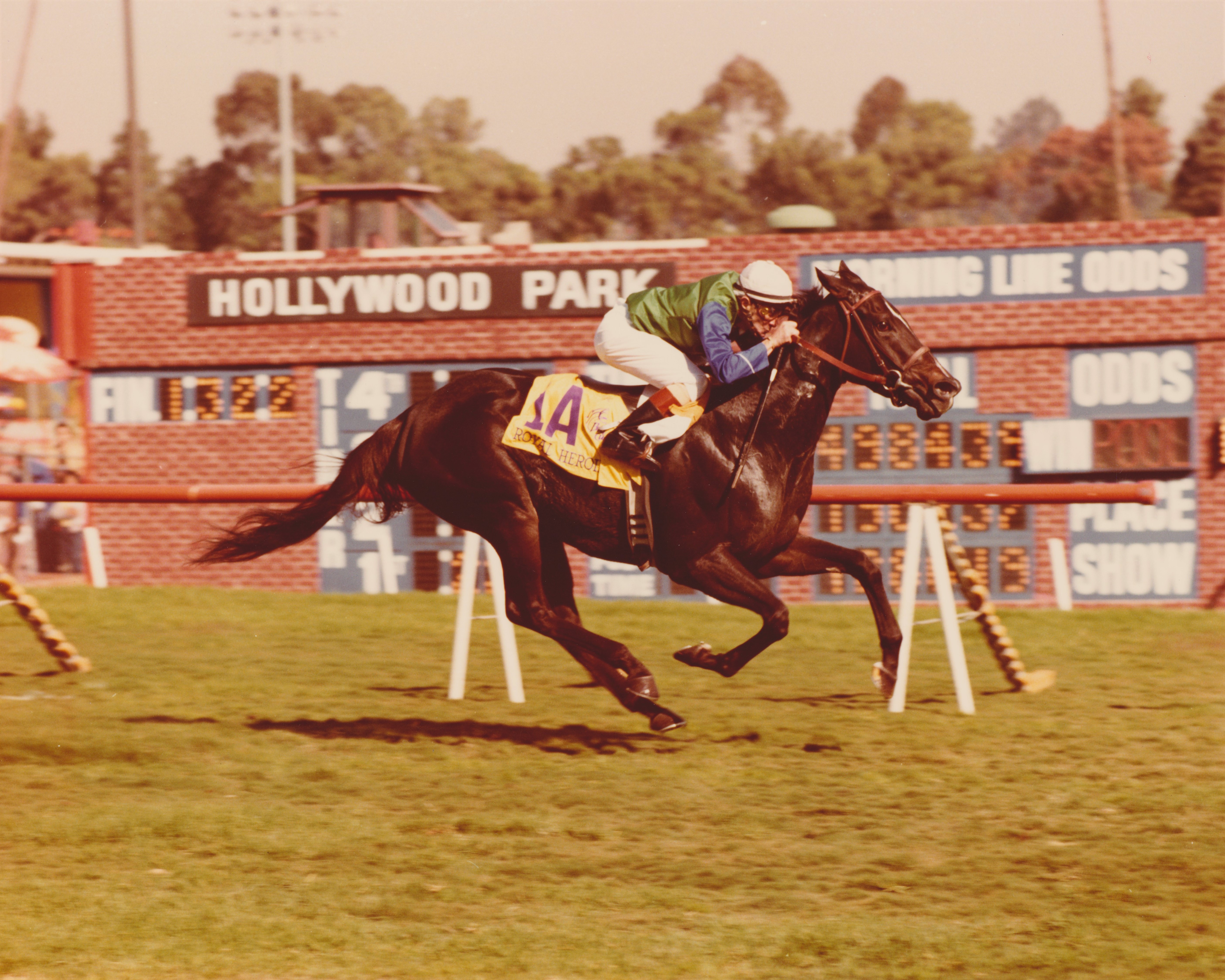 Royal Heroine, Fernando Toro up, winning the 1984 Breeders' Cup Mile (Hollywood Park)