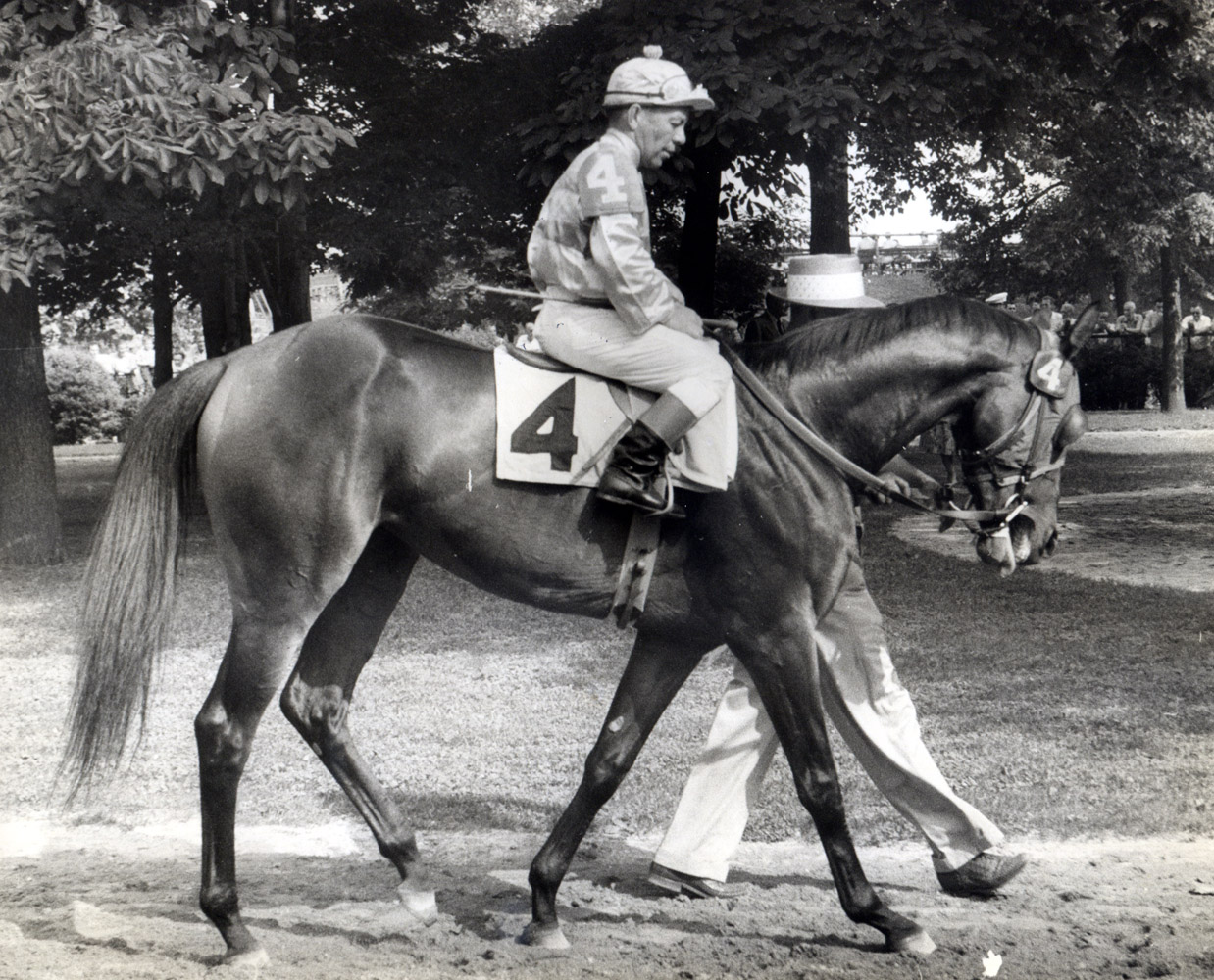 Searching (Conn McCreary up) in the paddock at Delaware Park, 1956 (Delaware Park Photo/Museum Collection)