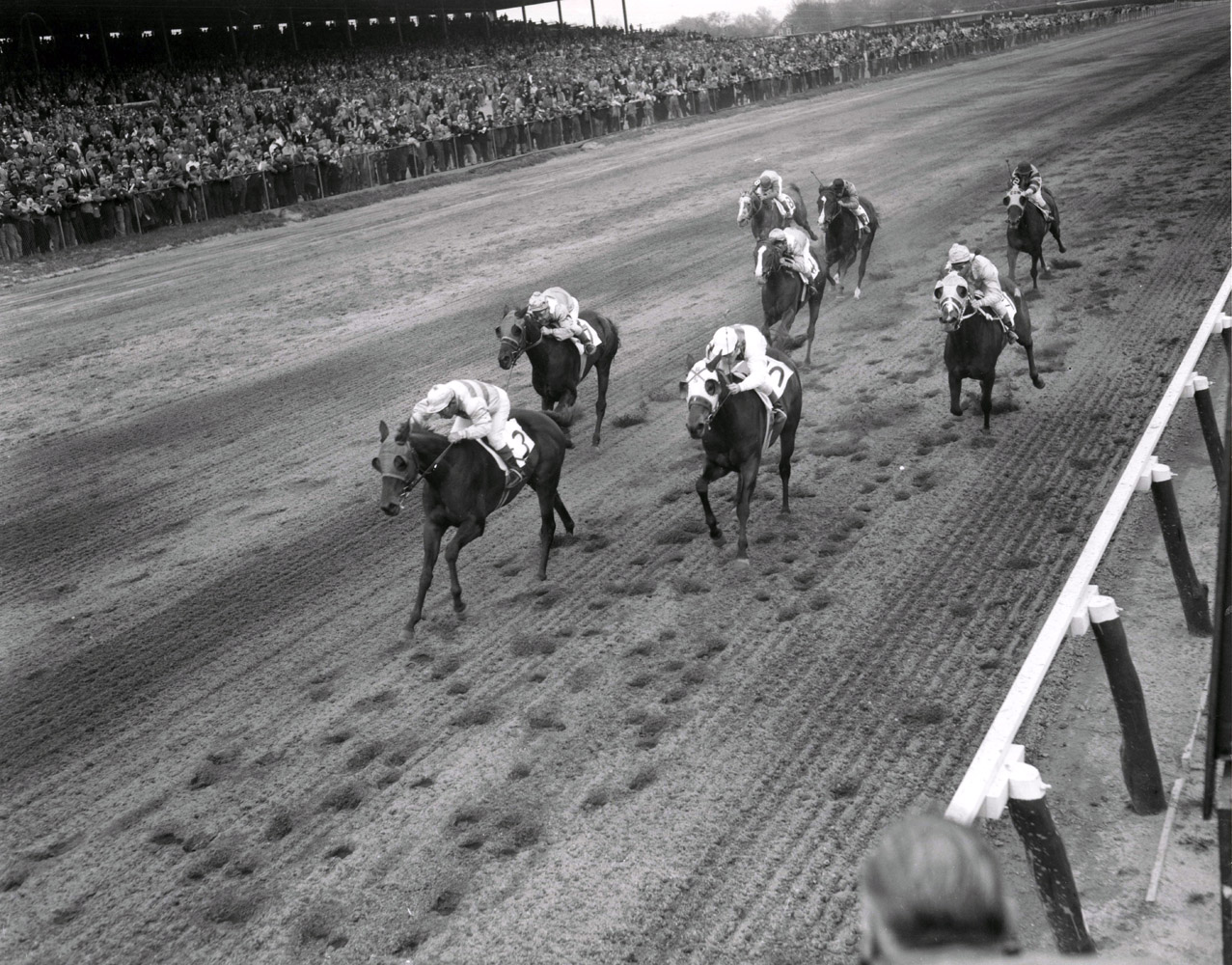 Searching (Conn McCreary up) racing to victory in the 1956 Correction at Jamaica (Keeneland Library Morgan Collection/Museum Collection)
