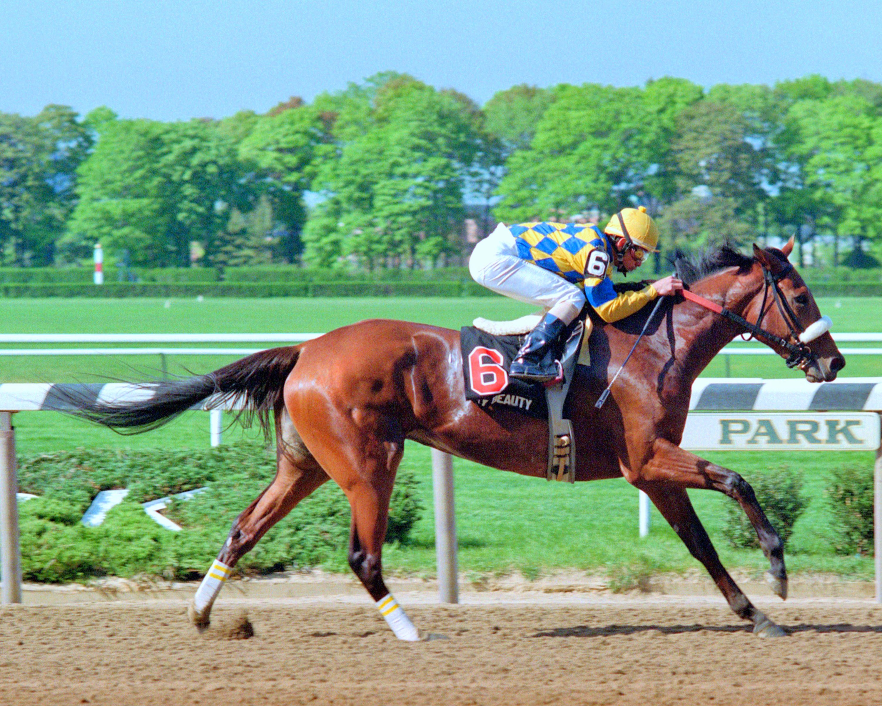 Sky Beauty (Mike Smith up) winning the 1993 Acorn at Belmont Park (NYRA)