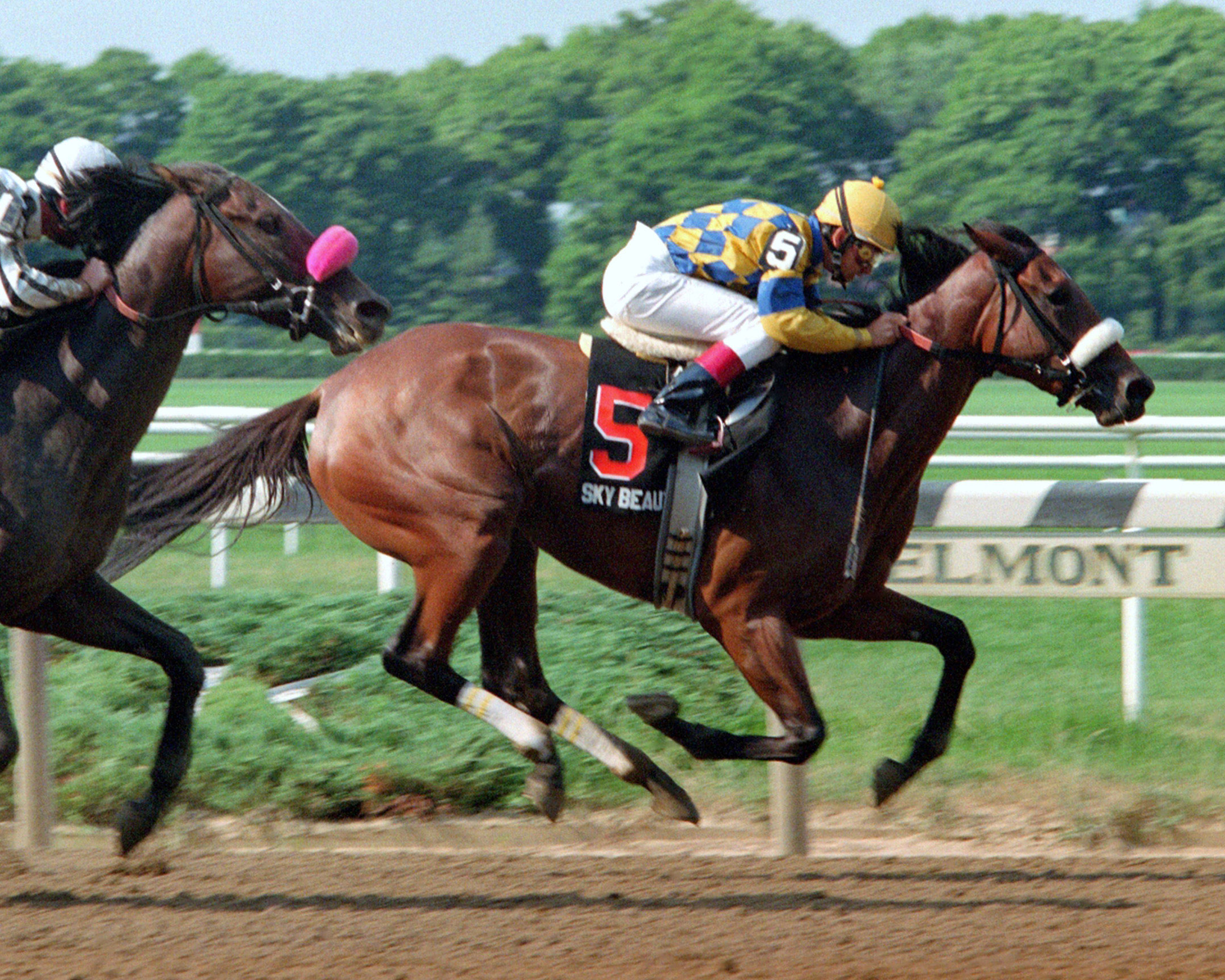 Sky Beauty (Mike Smith up) winning the 1993 Coaching Club American Oaks at Belmont Park (NYRA)