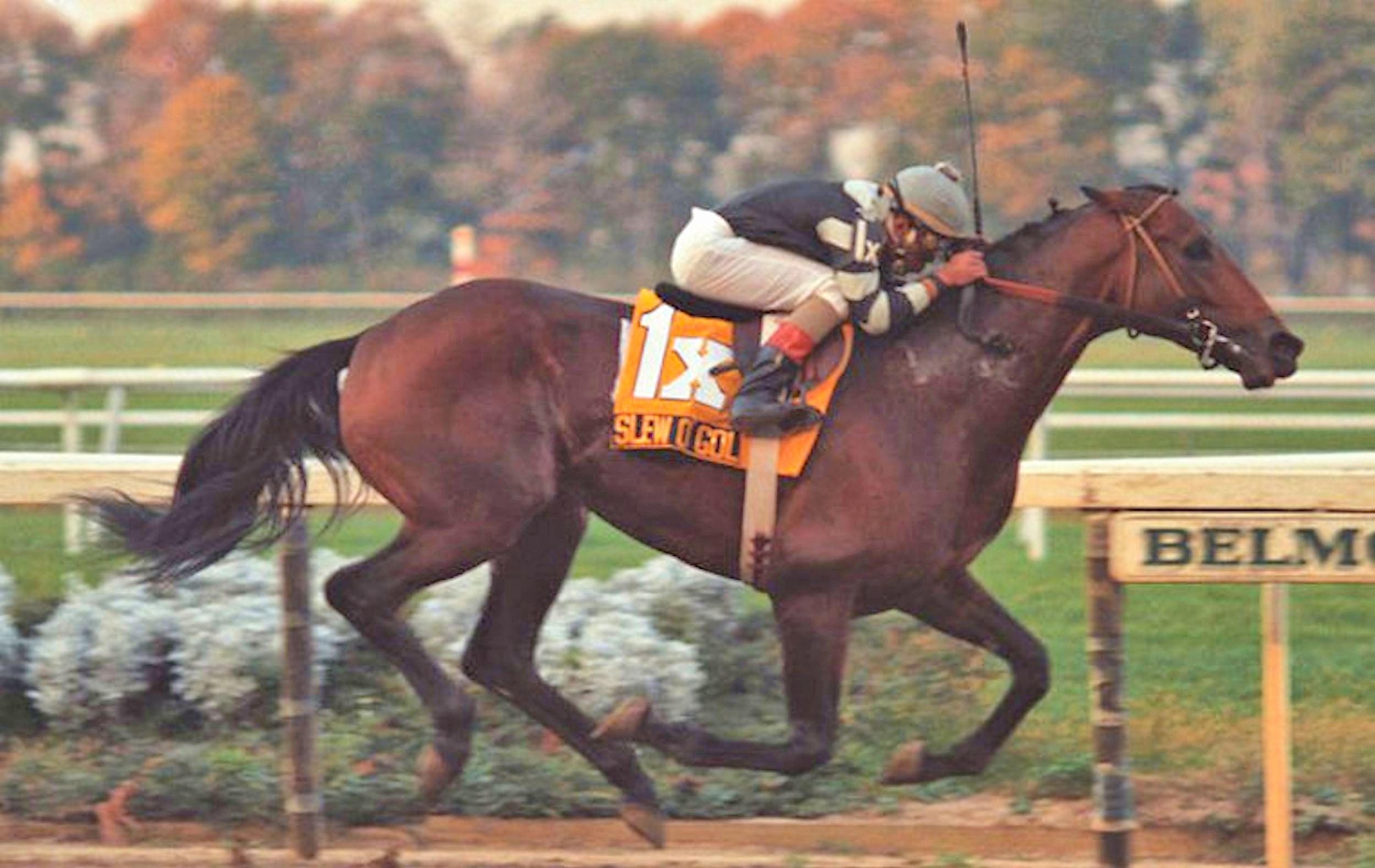 Slew o' Gold (NYRA)