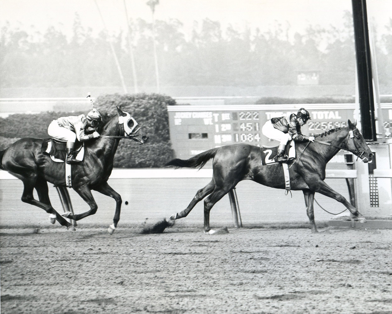 Swaps (Bill Shoemaker up) winning the 1956 Argonaut Handicap at Hollywood Park (Museum Collection)