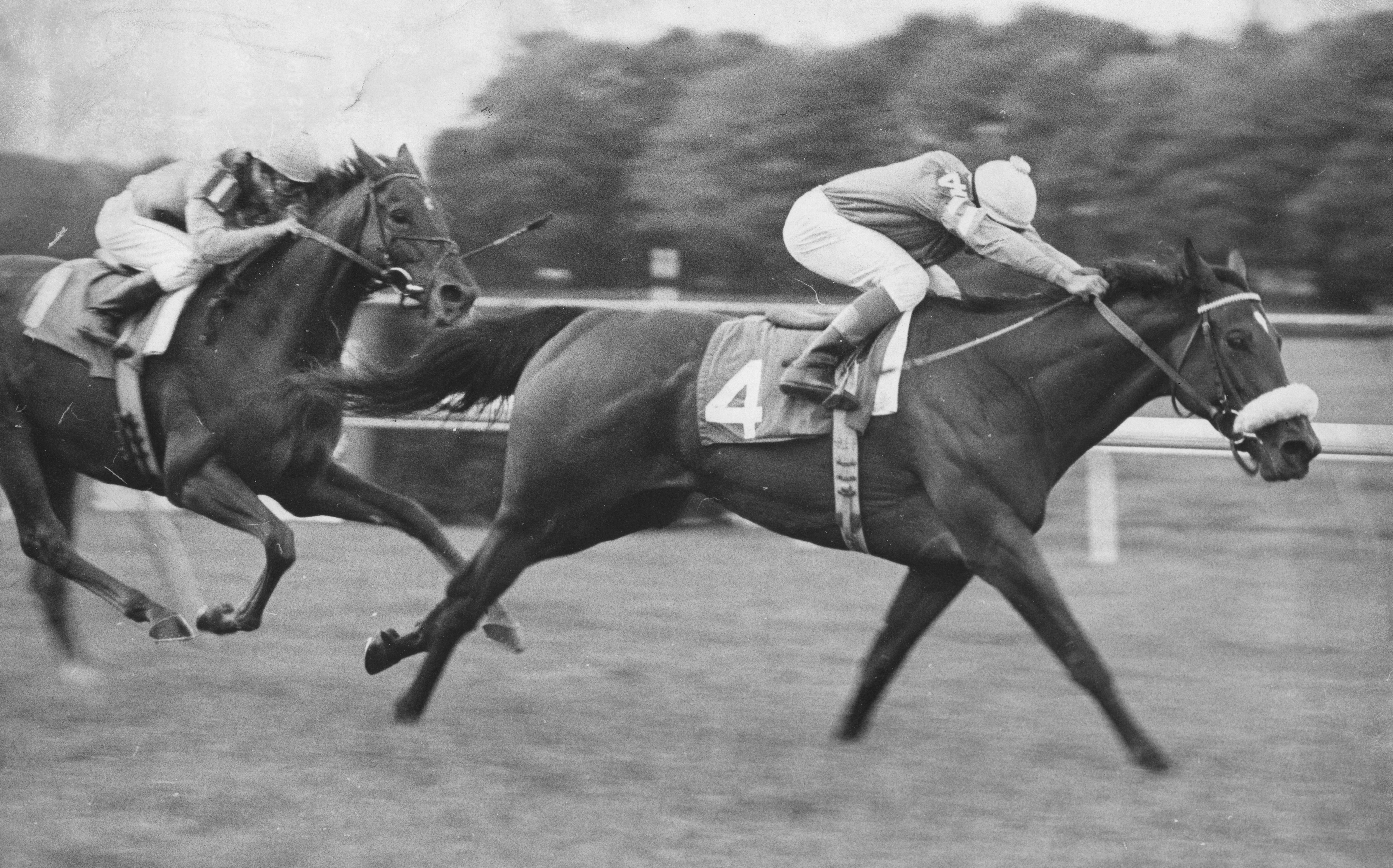 Waya, 1978 Man o' War Stakes, Angel Cordero, Jr. up (Keeneland Library Thoroughbred Times Collection)