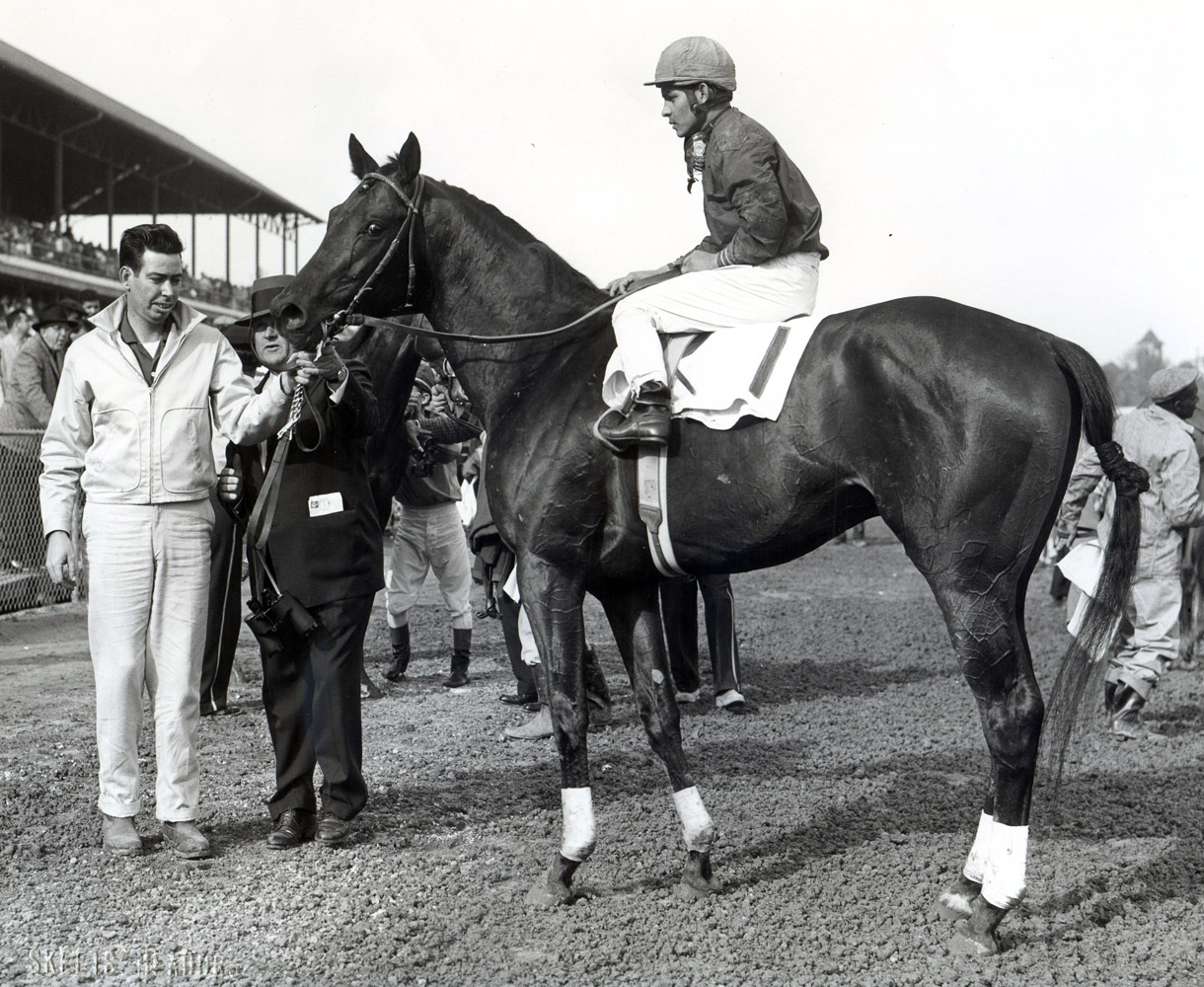 Tim Tam (Ismael Valenzuela up) in the winner's circle for the Derby Trial at Churchill Downs, his final prep before the Triple Crown series (Keeneland Library Meadors Collection/Museum Collection)