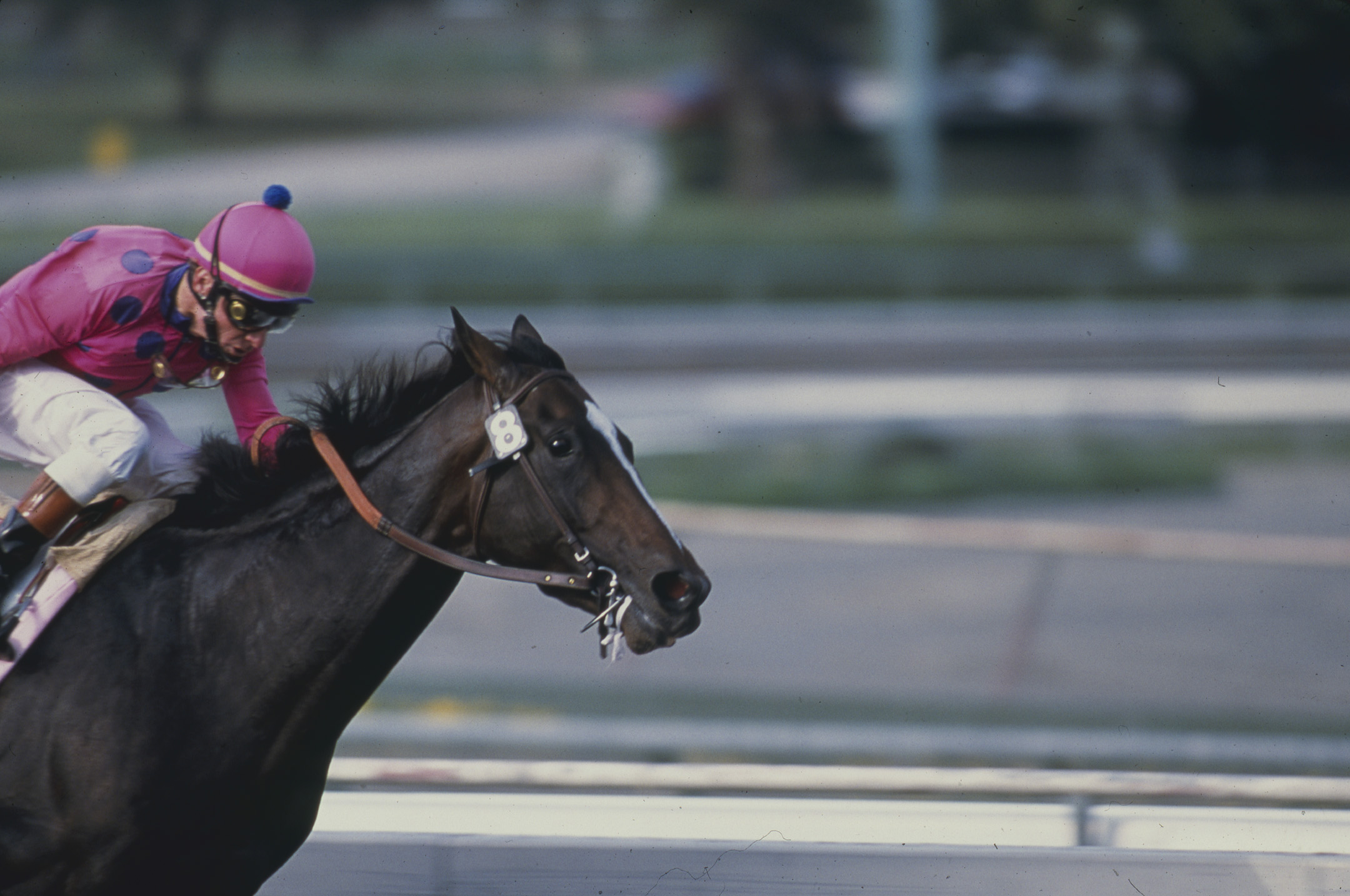 Tiznow (Chris McCarron up) winning the 2000 Goodwood Breeders' Cup Handicap at Santa Anita (Keeneland Library Katey Barrett Collection)