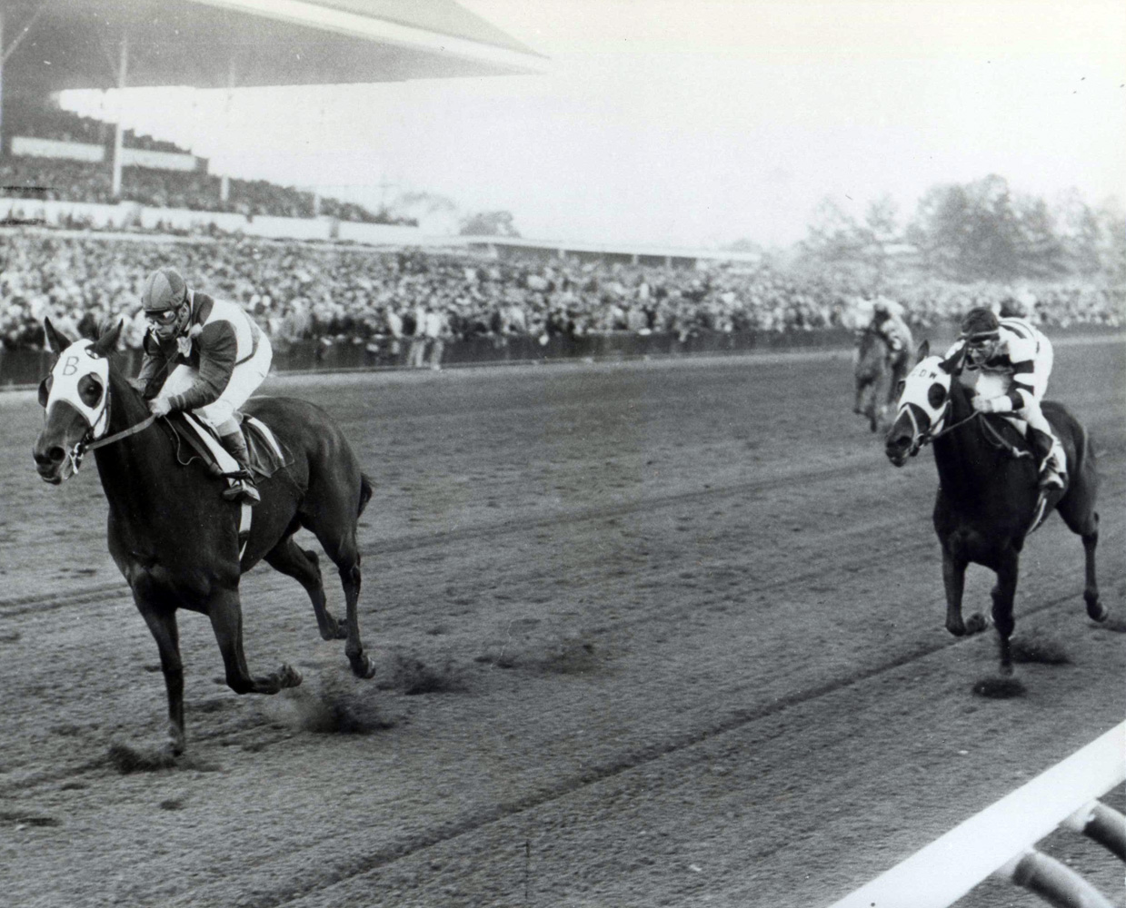 Tosmah (Sam Boulmetis up) winning the 1964 Jersey Belle at Garden State Park (Jim Raftery Turfotos/Museum Collection)