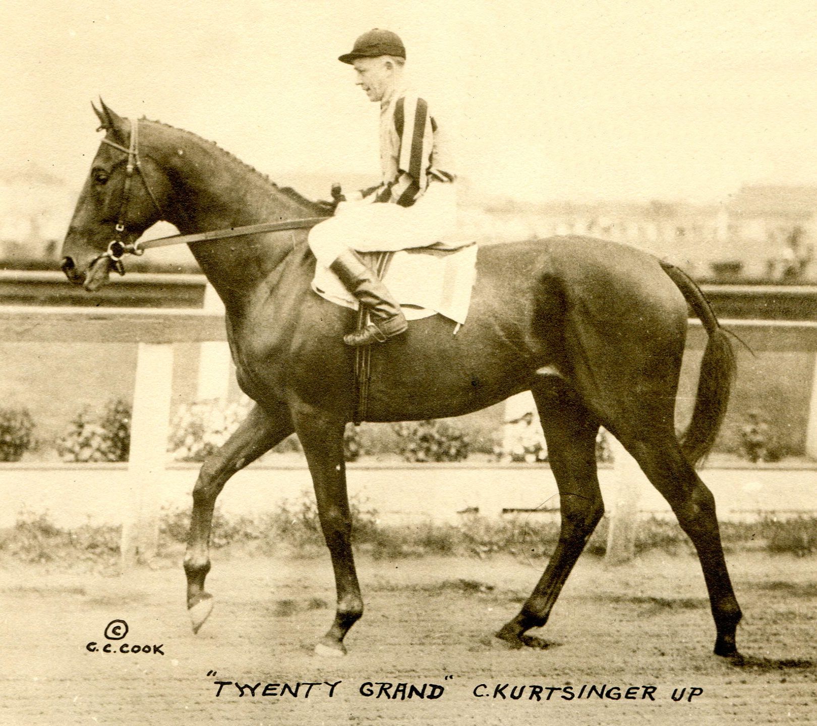 Twenty Grand (Keeneland Library Cook Collection)