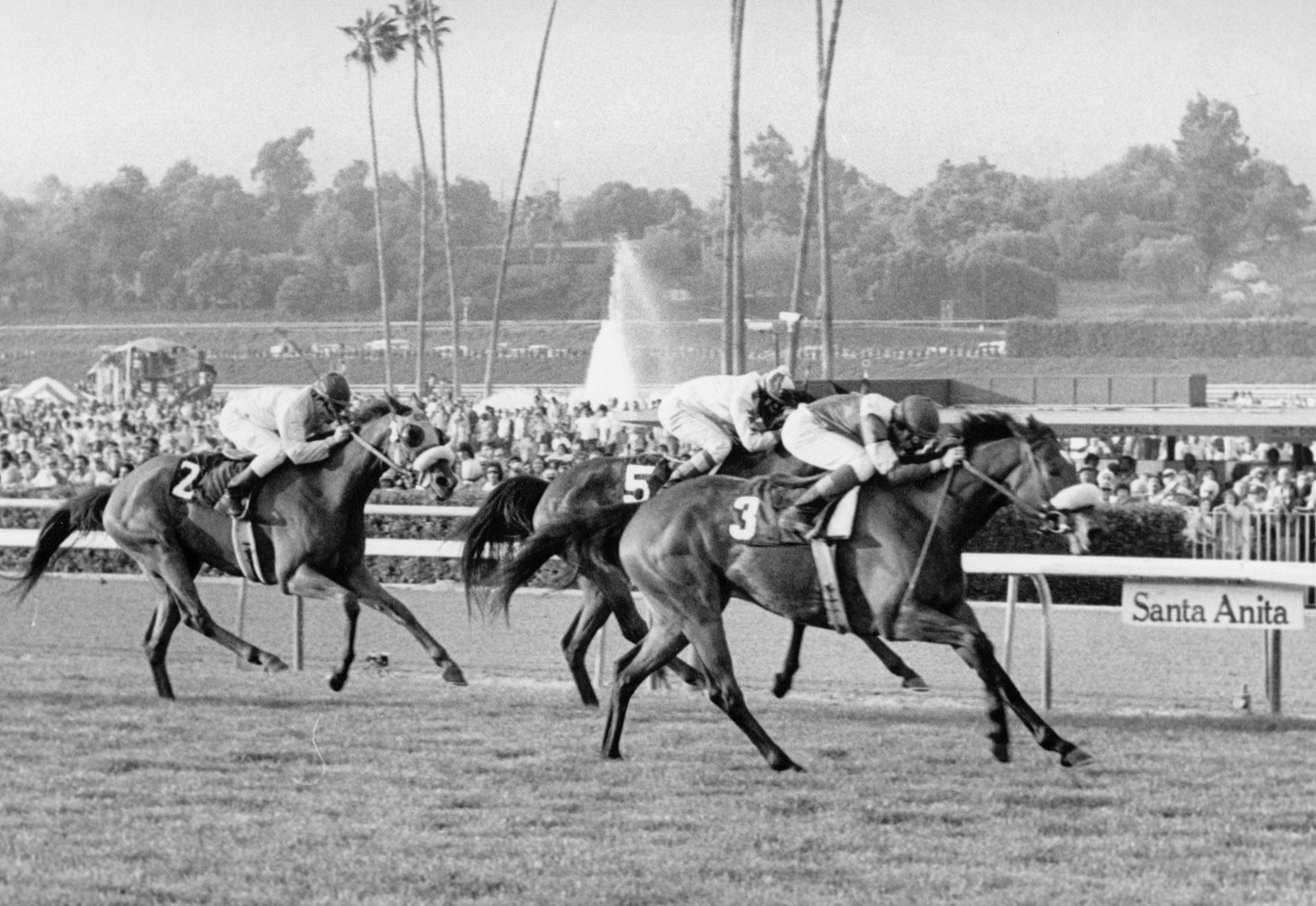 Waya (Angel Cordero up) winning the 1979 Santa Barbara Handicap at Santa Anita Park (Santa Anita Photo)