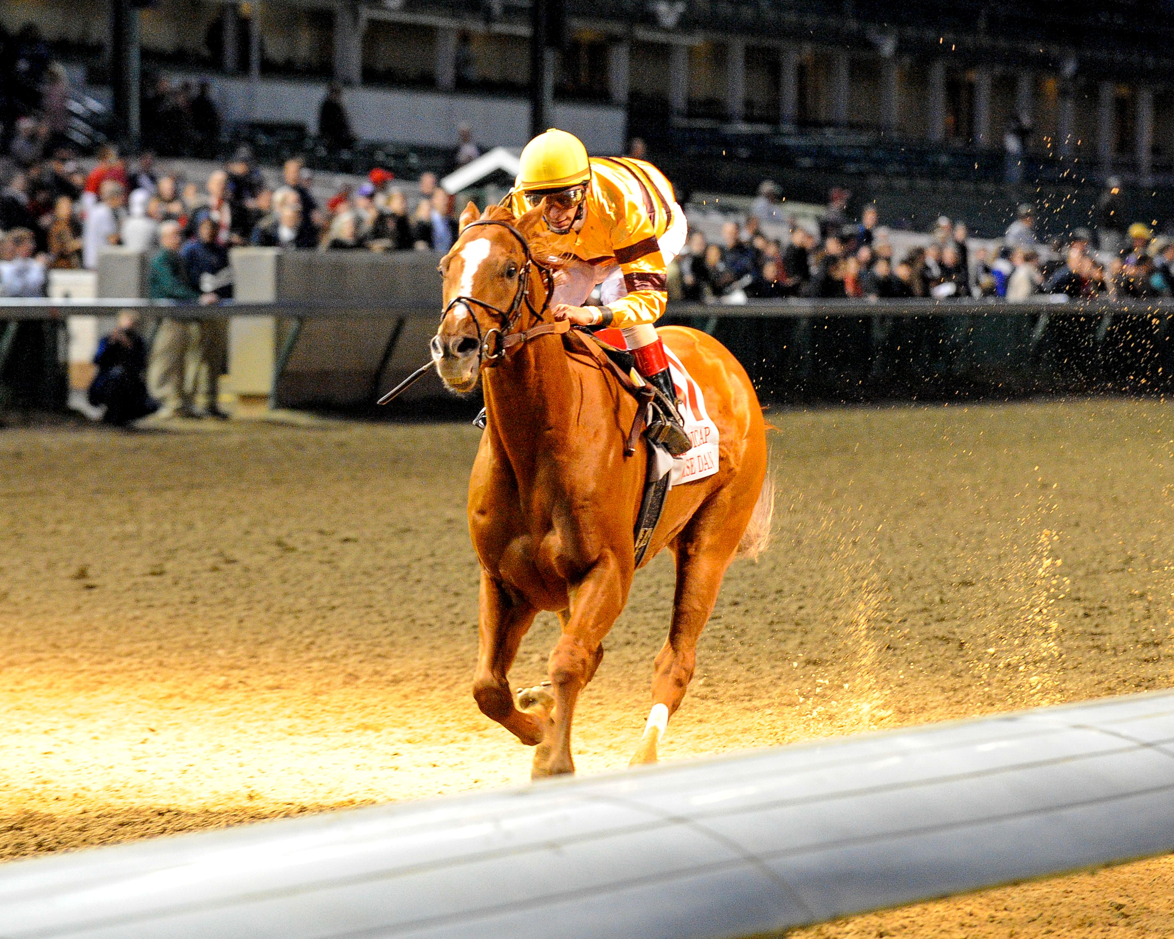 Wise Dan (John Velazquez up) winning the 2011 Clark Handicap at Churchill Downs, his first Grade 1 victory (Bob Mayberger)