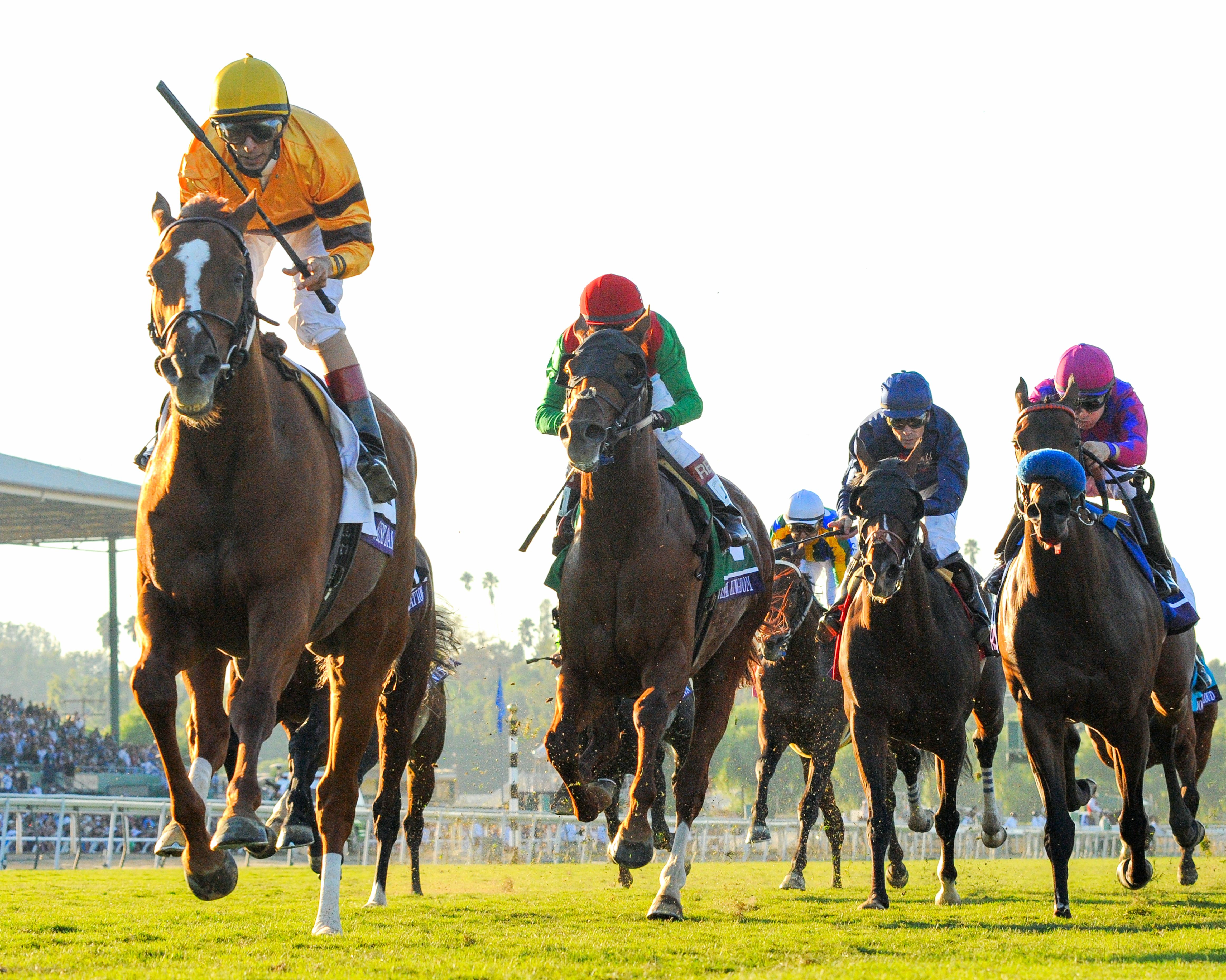 Wise Dan (John Velazquez up) winning the 2012 Breeders' Cup Mile at Santa Anita (Bob Mayberger)