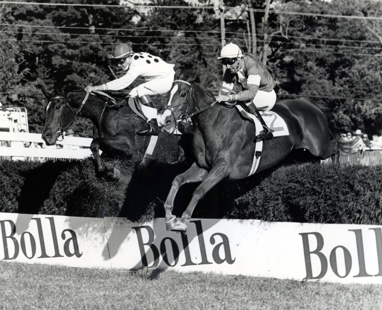 Zaccio (John Cushman up) on the right clearing a jump in the 1981 Grand National Handicap at Foxfield in Virginia (Douglas Lees/Museum Collection)