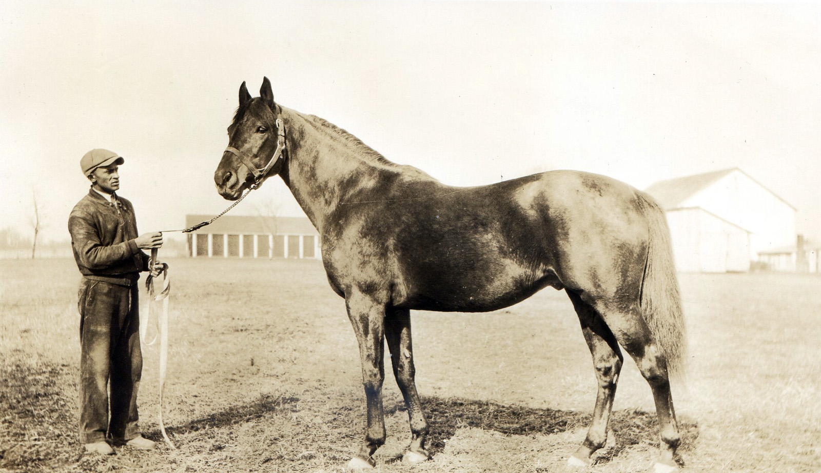 Zev in retirement, 1933 (L. S. Sutcliffe/Museum Collection)