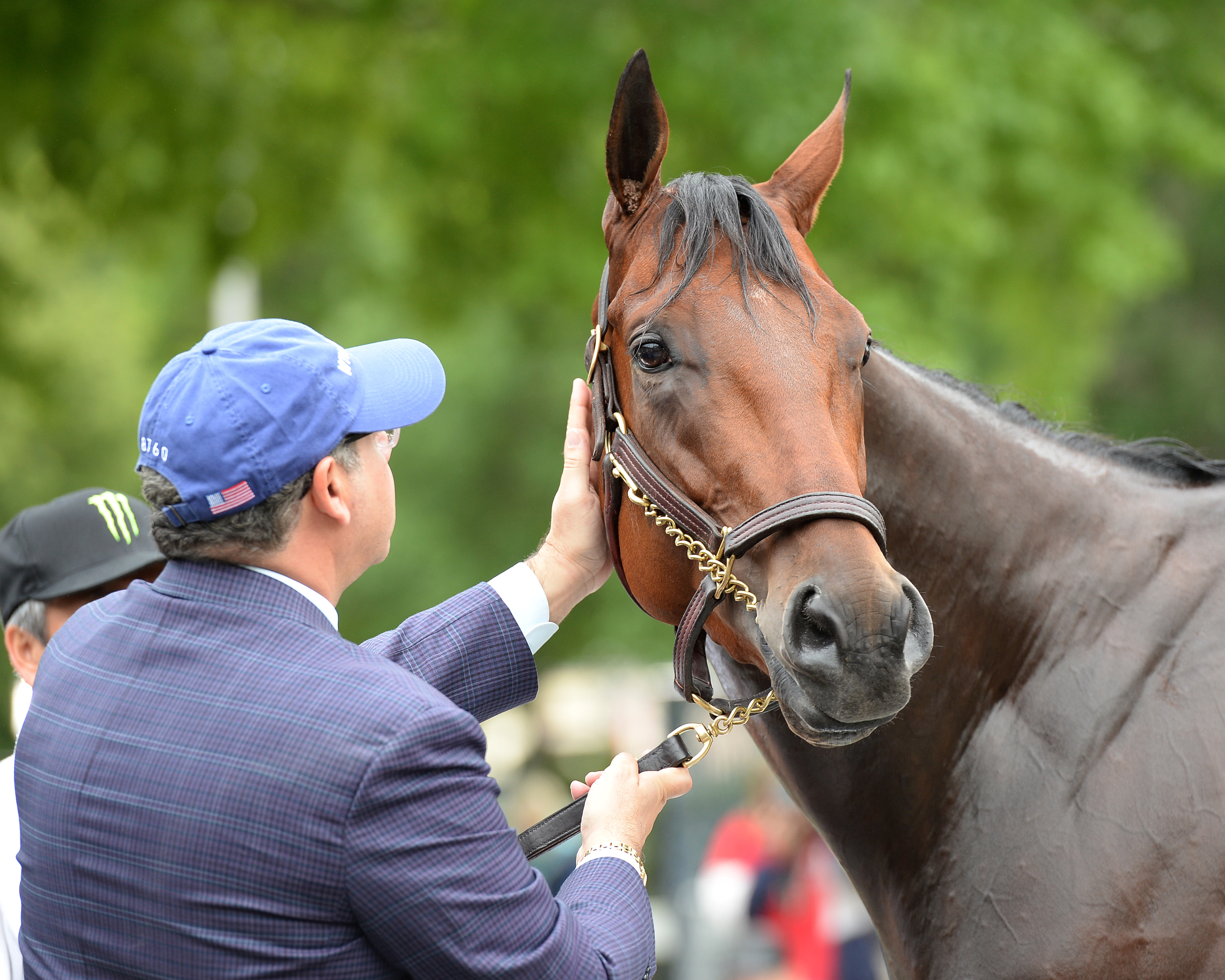 American Pharoah and owner Ahmed Zayat (NYRA)