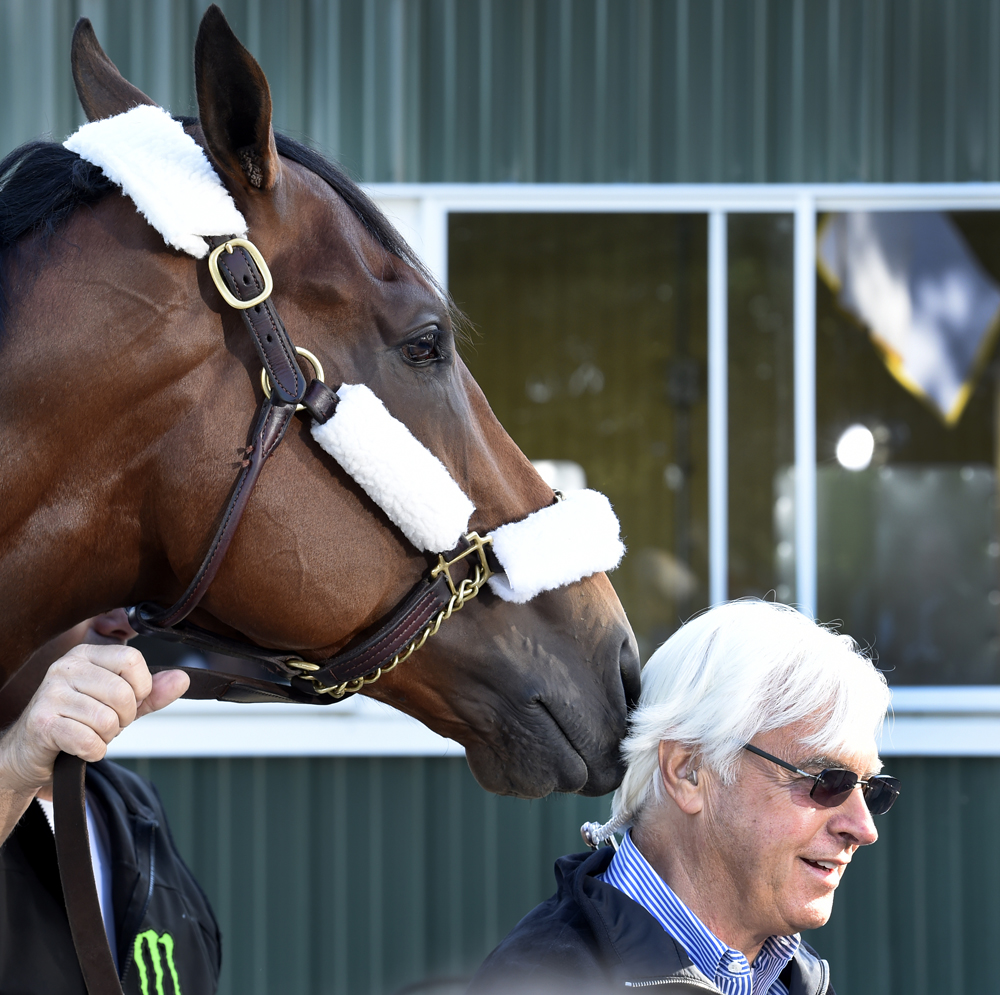 American Pharoah and trainer Bob Baffert (Skip Dickstein)