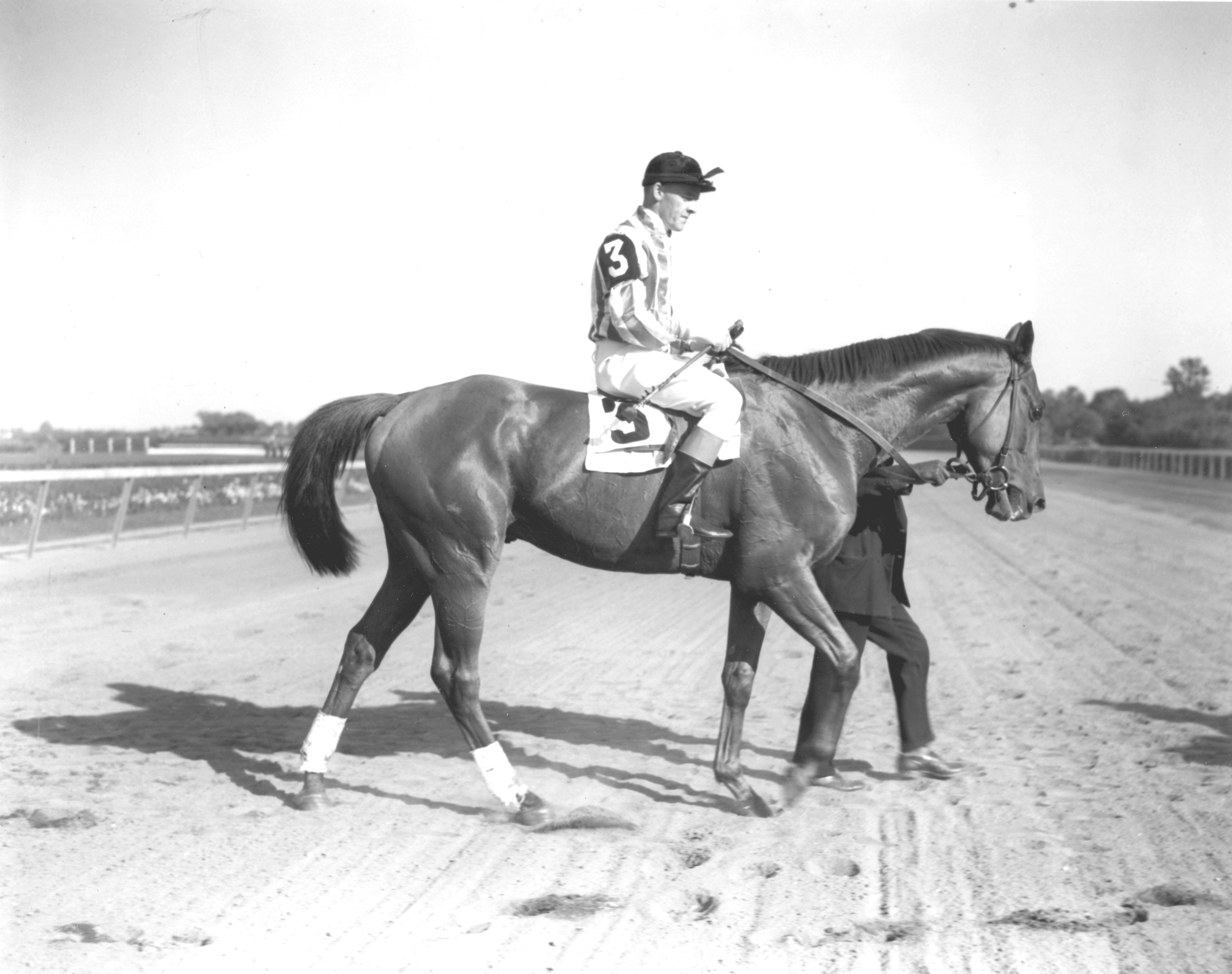 Bushranger (H. Little up)  at the Broad Hollow Handicap Steeplechase at Belmont Park (Keeneland Library Morgan Collection/Museum Collection)