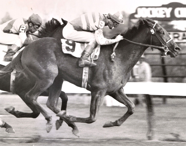 Carry Back (John Sellers up) winning the 1961 Trenton Handicap at Garden State Park (Jim Raftery Turfotos)