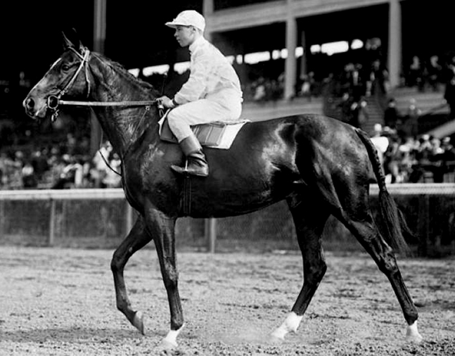 Colin with Joe Notter up at Belmont Park (Keeneland Library Cook Collection/Museum Collection)