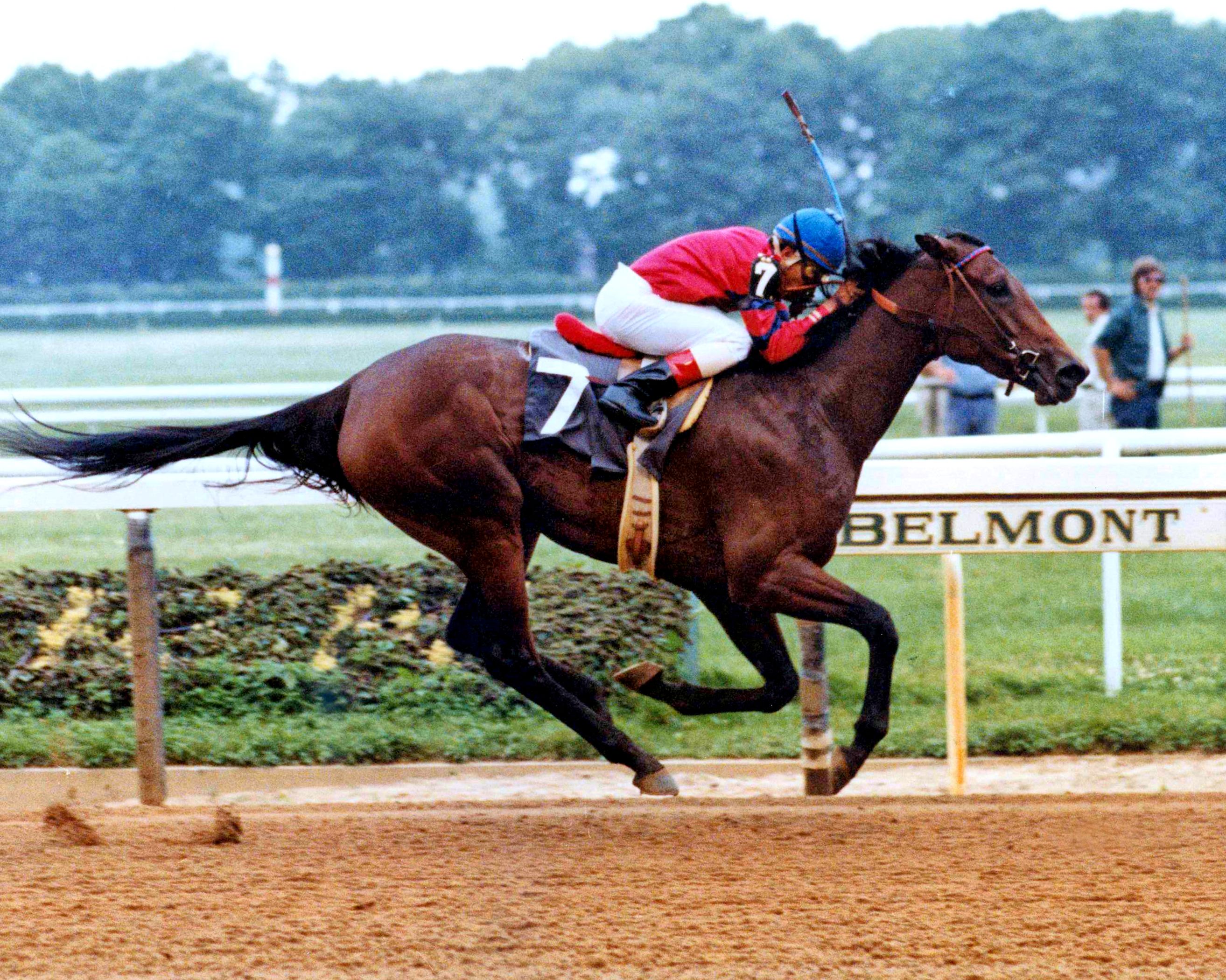 Davona Dale racing at Belmont Park (NYRA/Museum Collection)